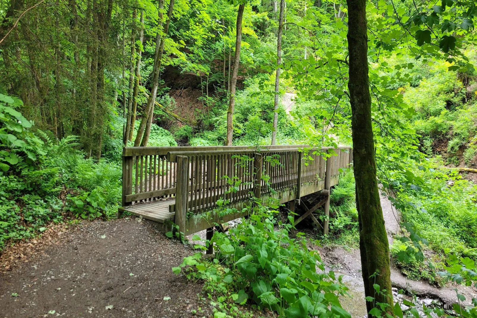 Studio Am Waltenberg 57-S-Zones été à 5 km