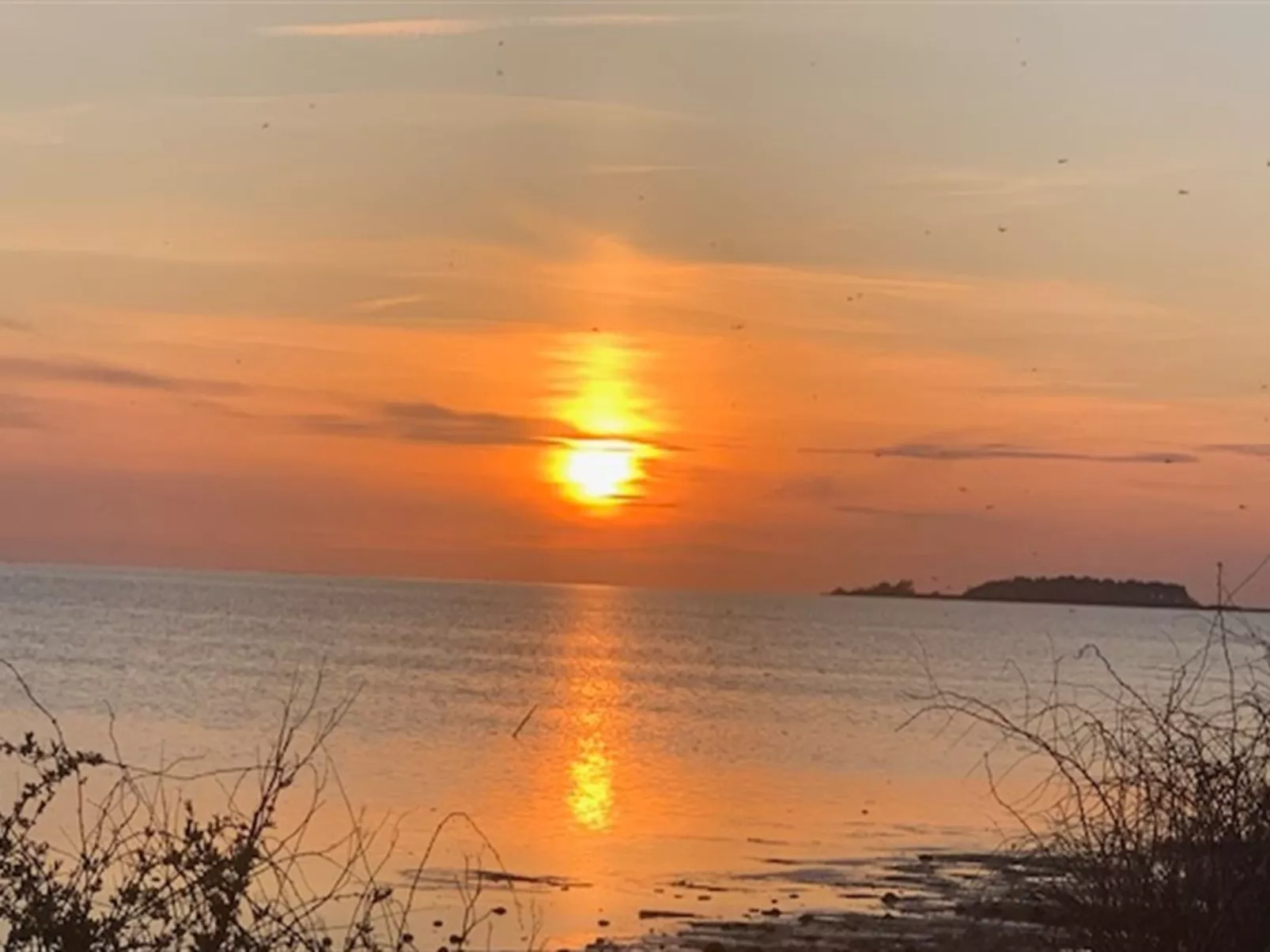 "Asvalde" - 200m to the fjord-Dehors