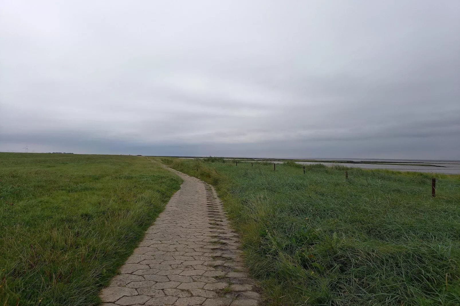 Ferienhaus Seeschwalbe-Areas within 5km in summer