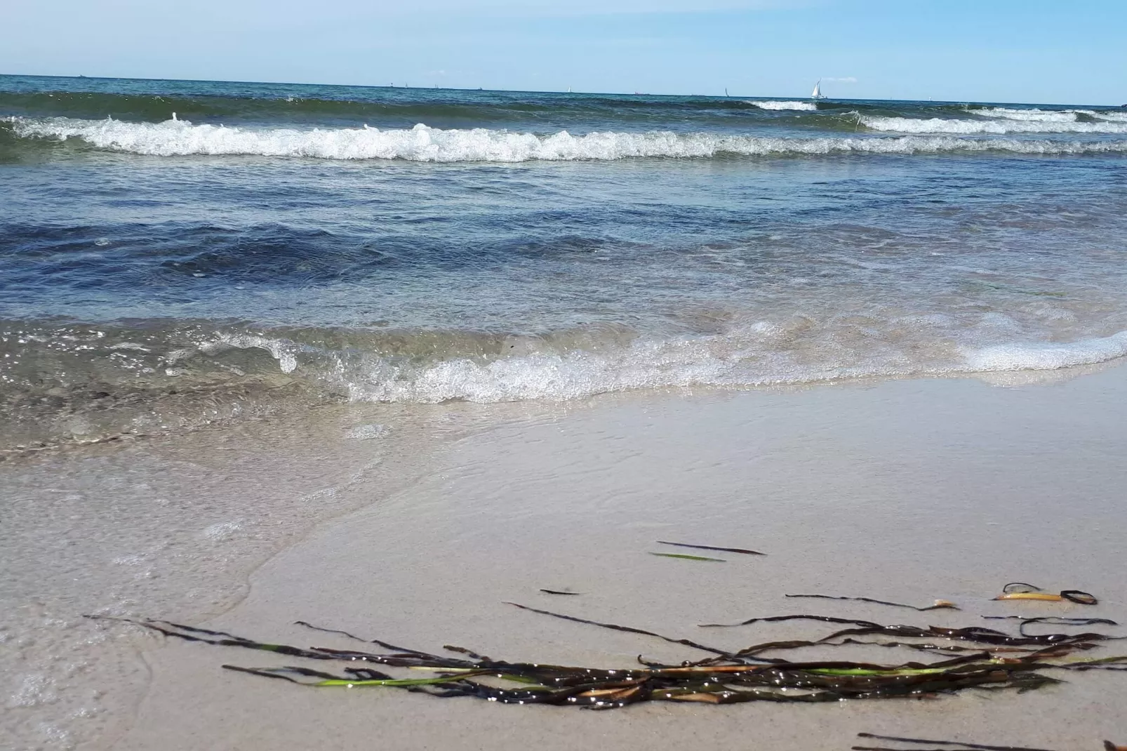 5 star holiday home in Wendtorf-Water view