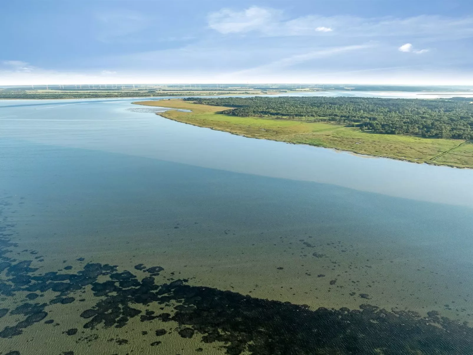 "Thorbiorn" -  from the sea-Draußen