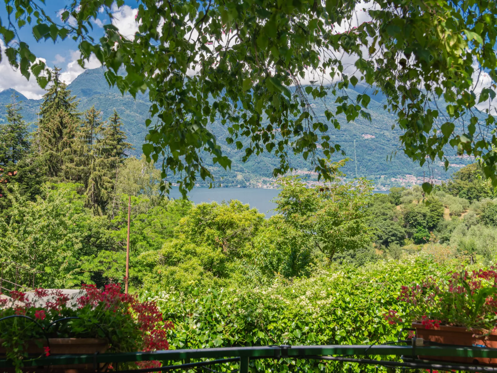 Nel Castagneto-Outside