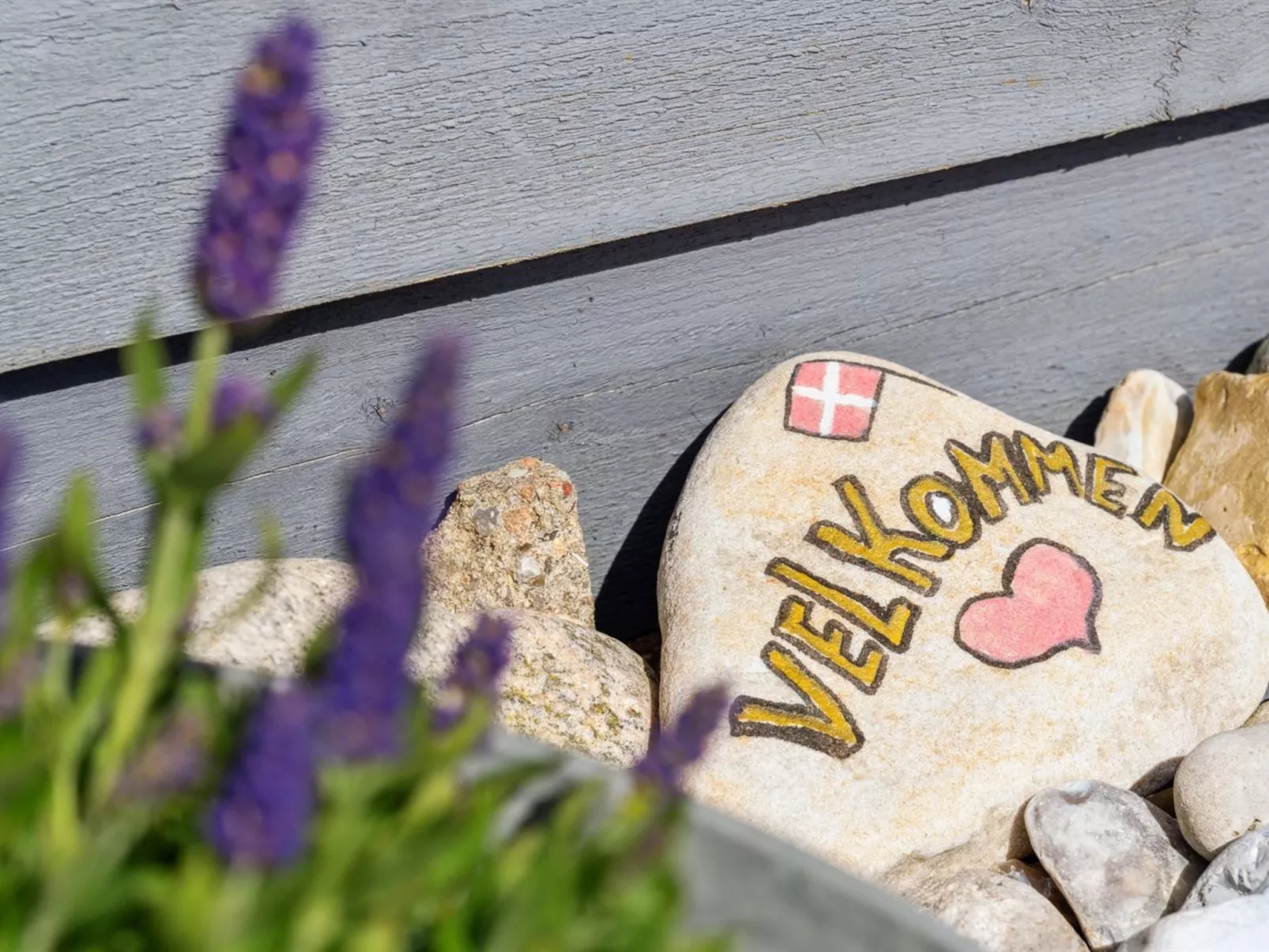 "Edzard" - 800m from the sea-Dehors