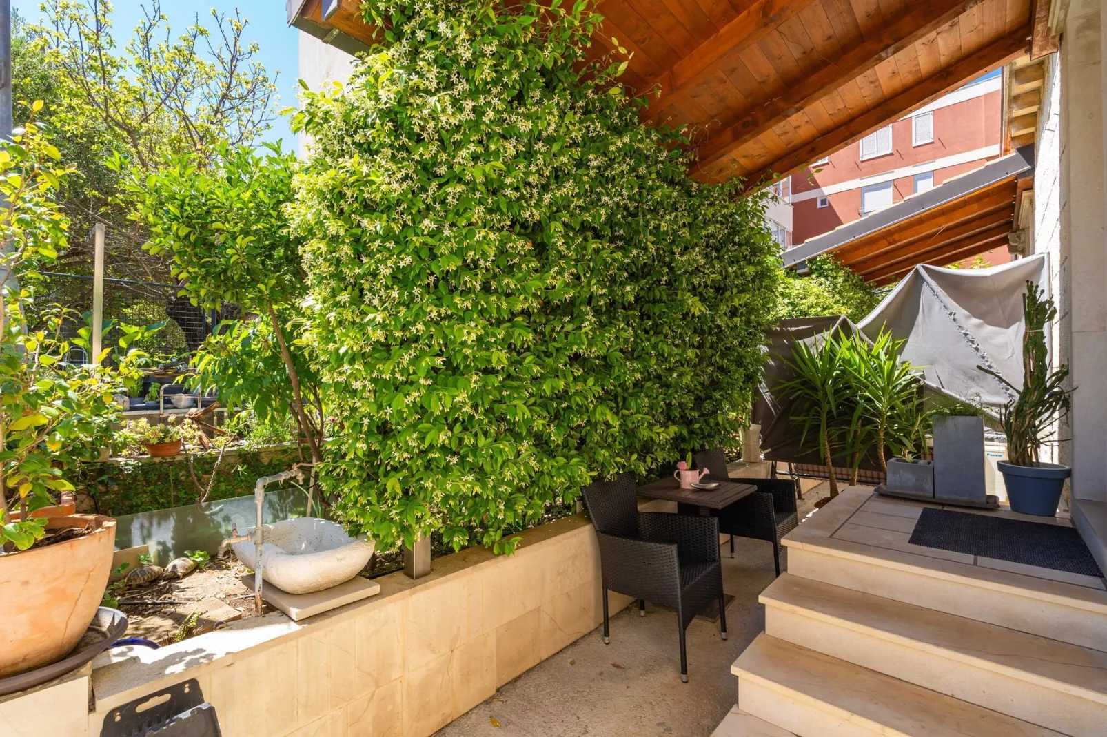 Apartments and Room Frane - Studio with Terrace-Terrace