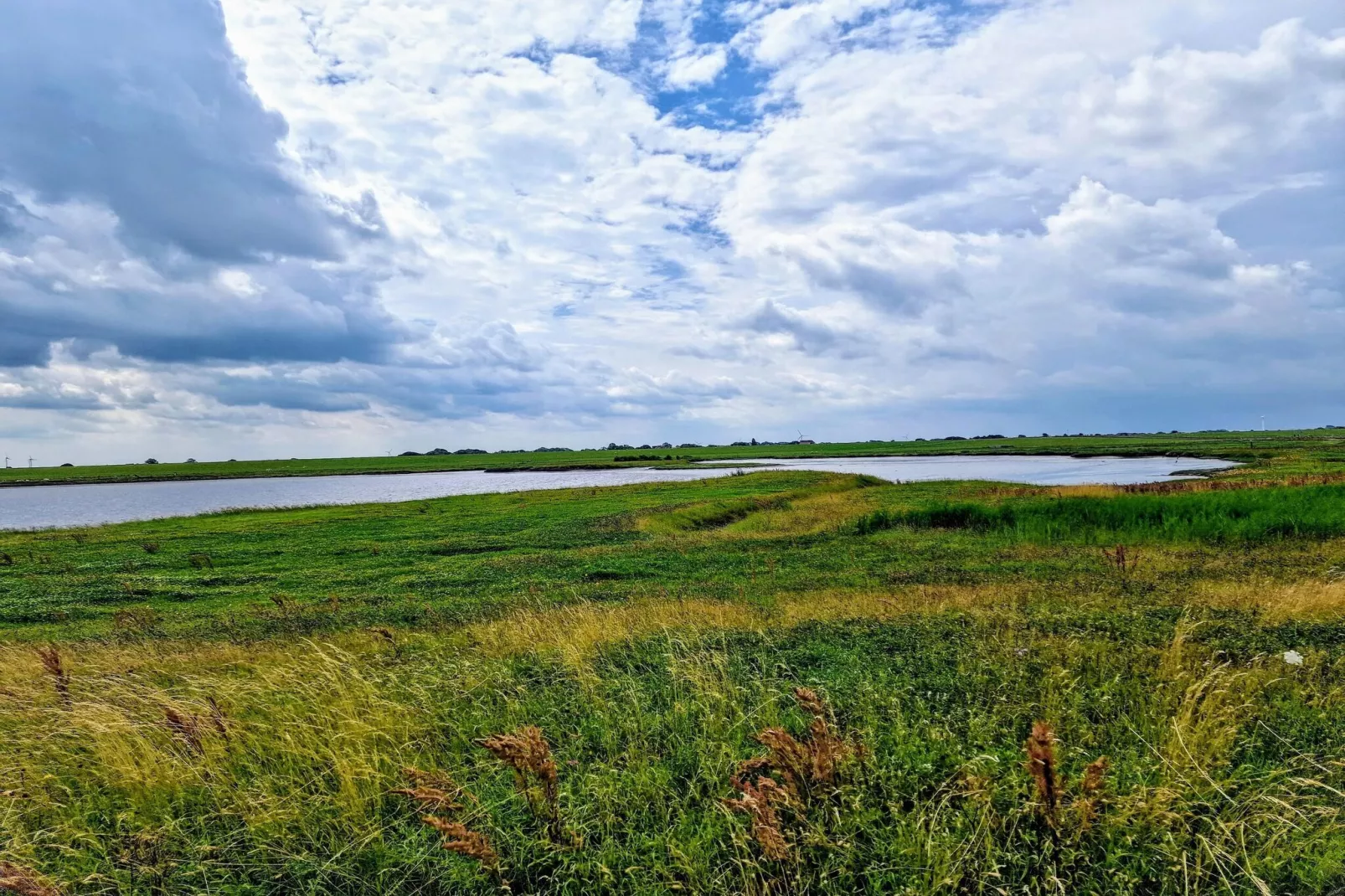 Ferienhaus 06 Marintje-Areas within 5km in summer