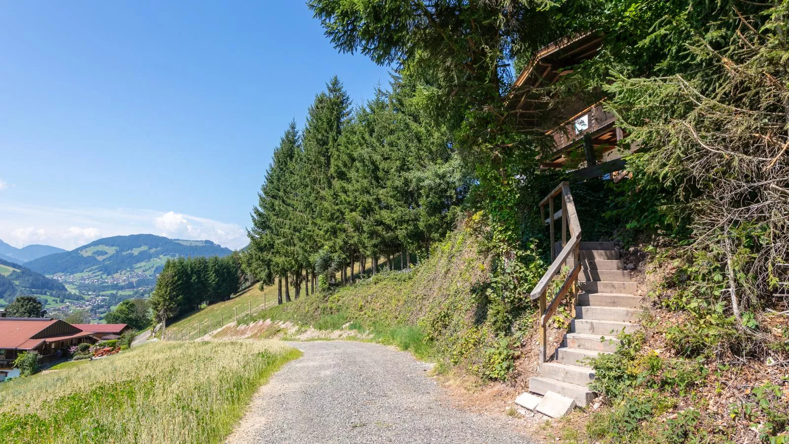 Sonnenhütte unten-Areas within 1km in summer