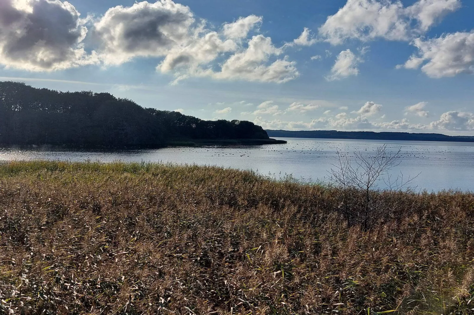 Peaceful Cabin Retreat in Ebeltoft-Water view