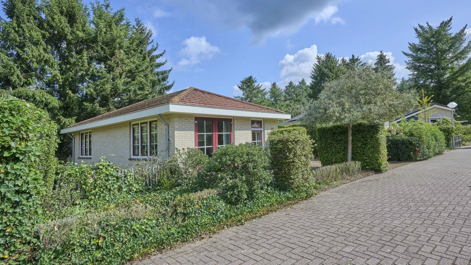 Heidepracht-Extérieur été