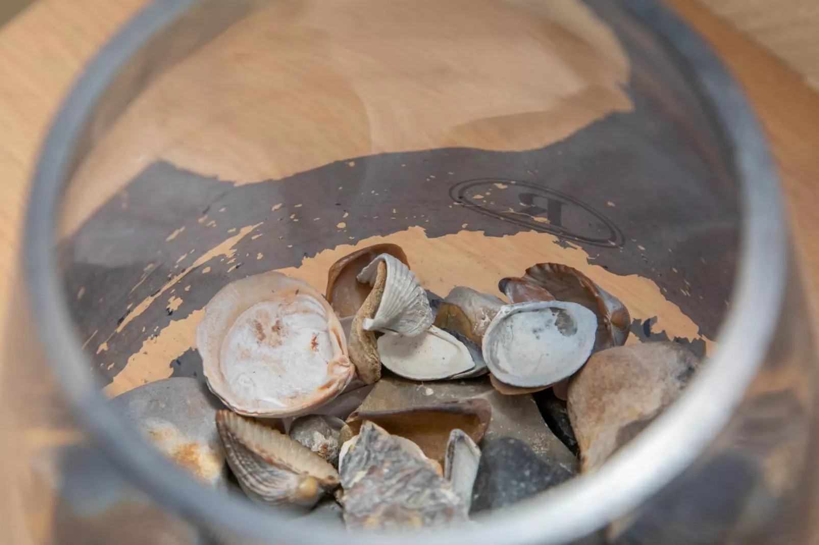 Vakantiehuisje Langstraat 29A Zoutelande 4 Personen  Comfortabel Verblijf-Untagged