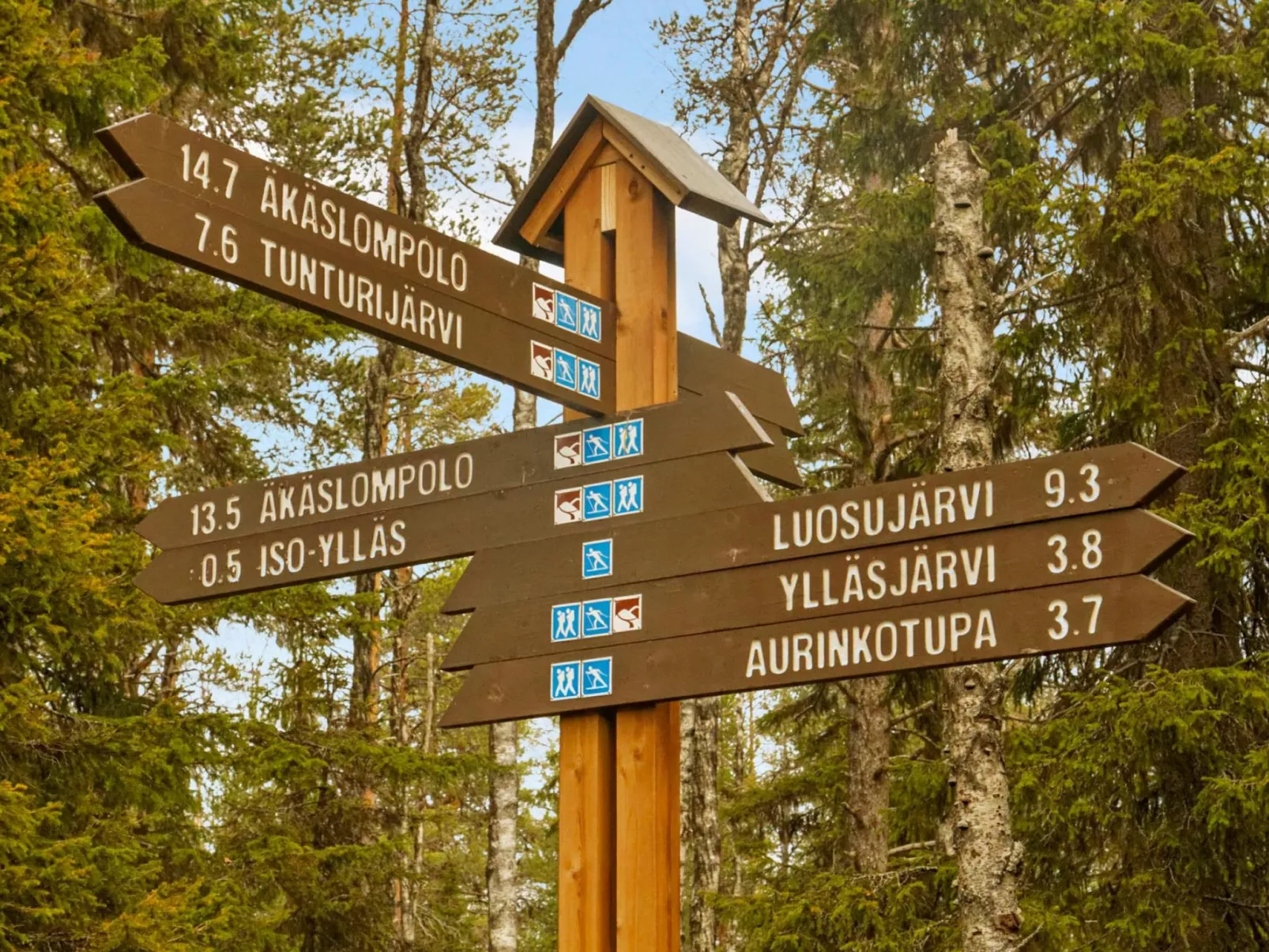 Kevätpiippo b-Inside