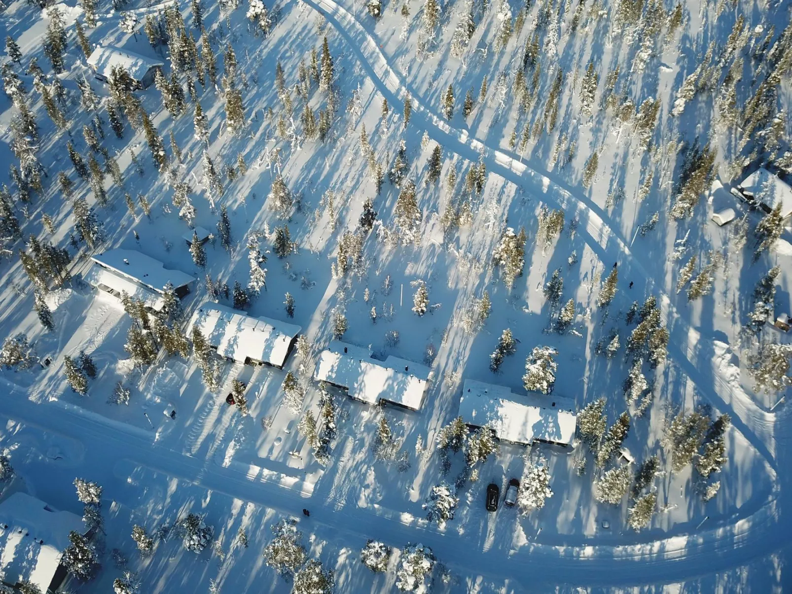 Tunturikoivu a1-Dedans