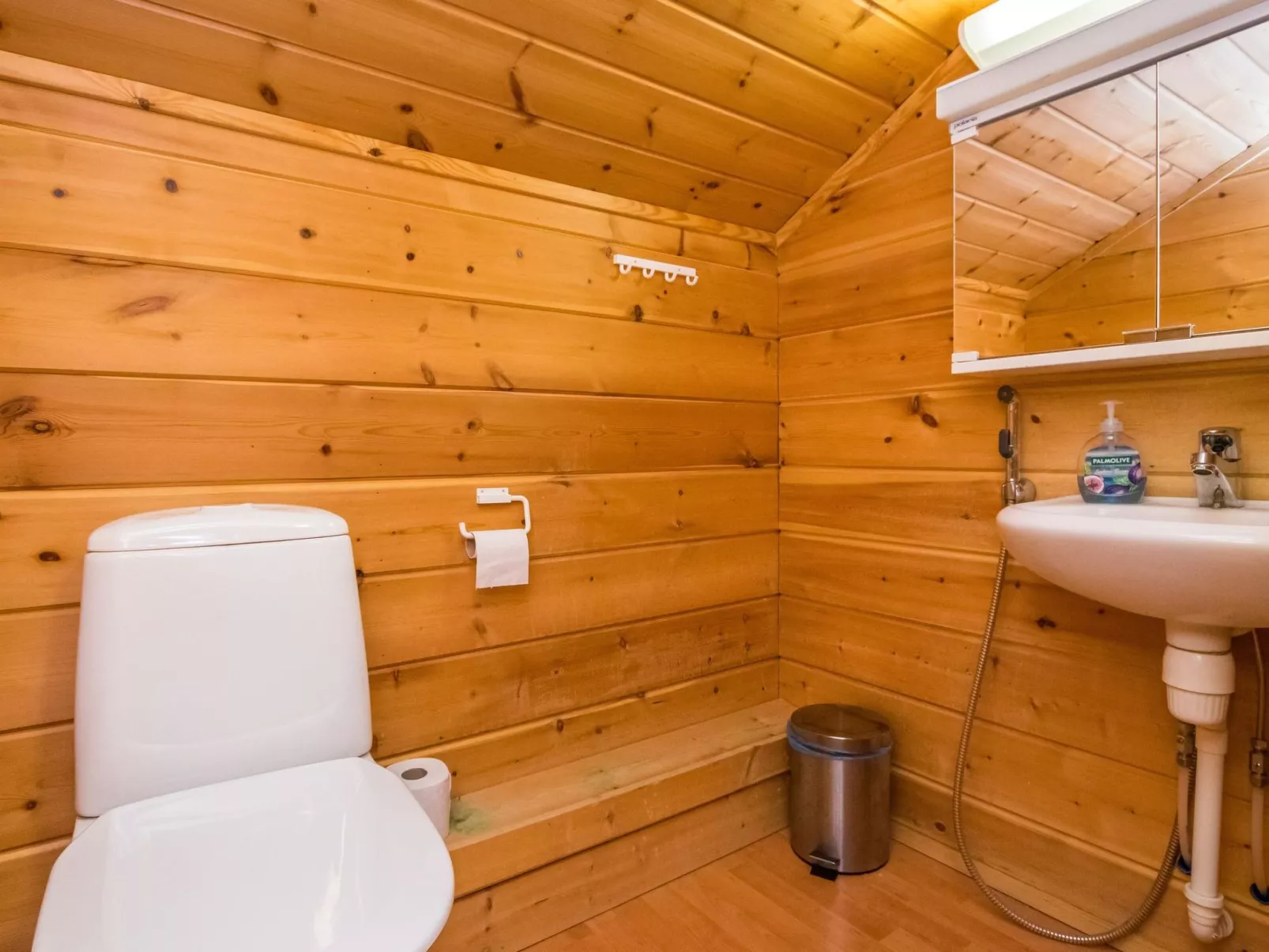 Hirvasaho b 2-Dedans