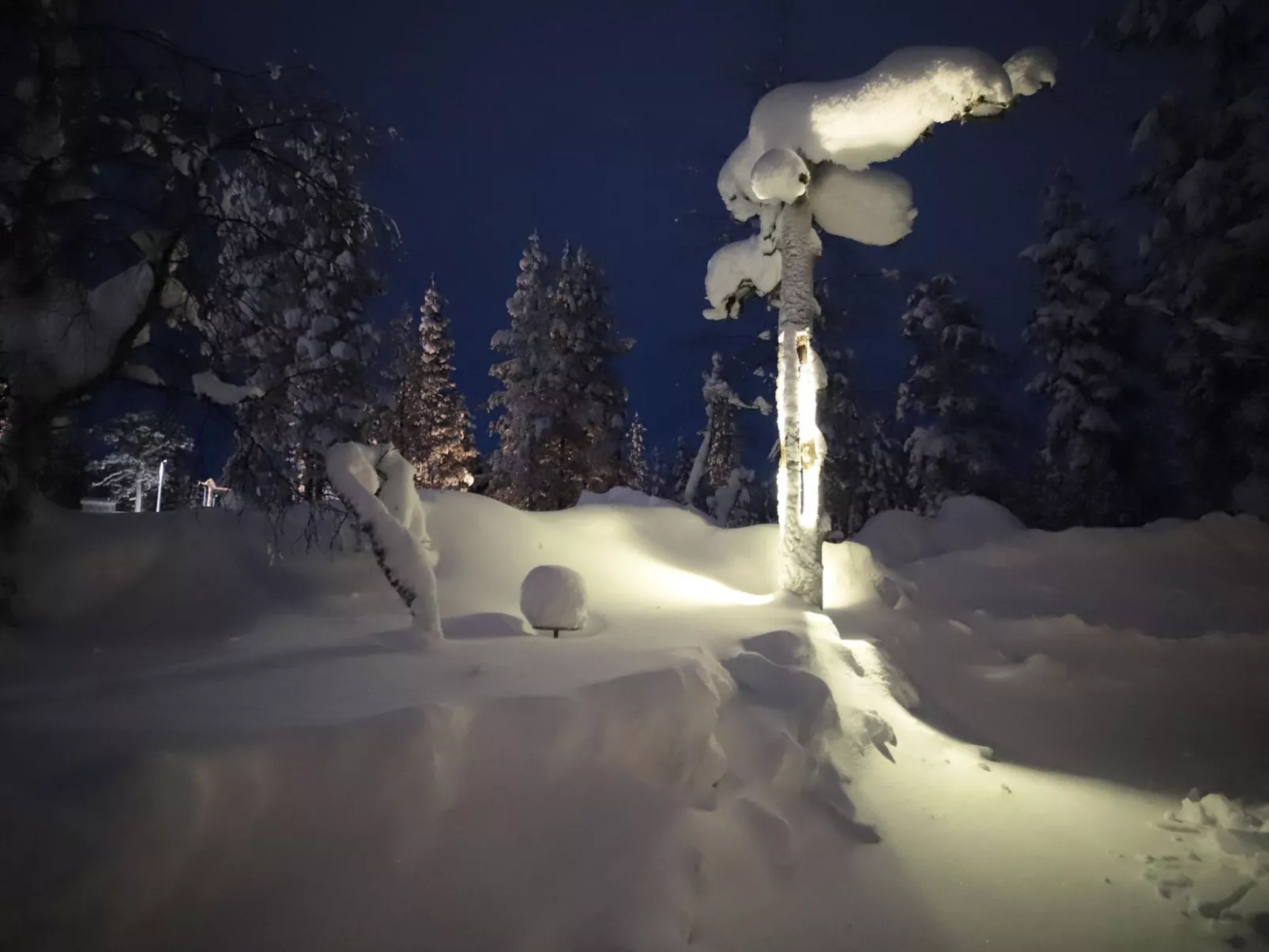 Tunturituuli a-Inside