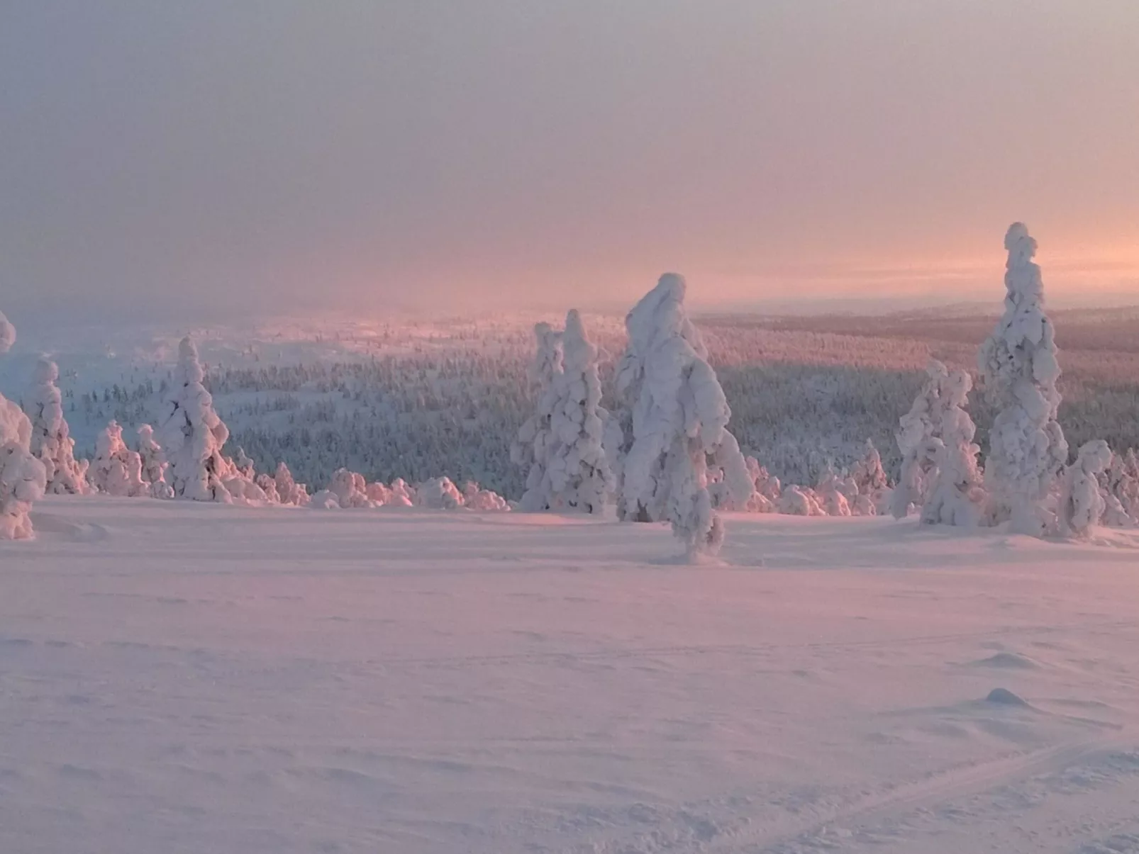 Moitakuru a10-Dedans