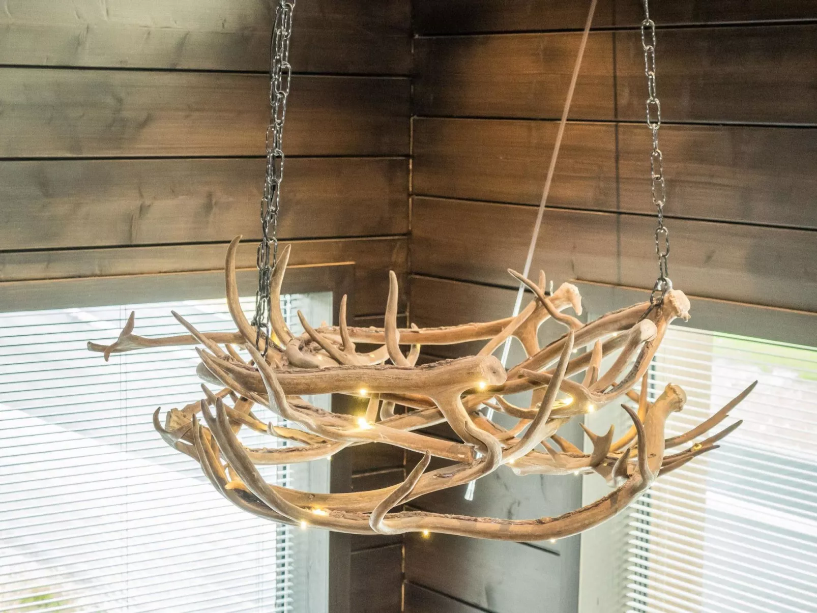 Levi platinum 2 b 6-Dedans