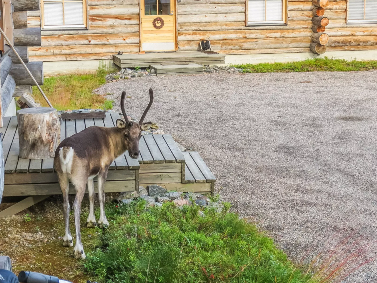 Teerentie / fun / dasher-Drinnen
