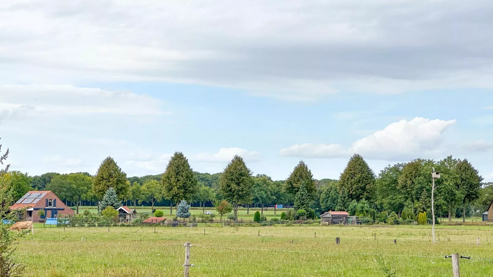 Het Bunt-Areas within 1km in summer