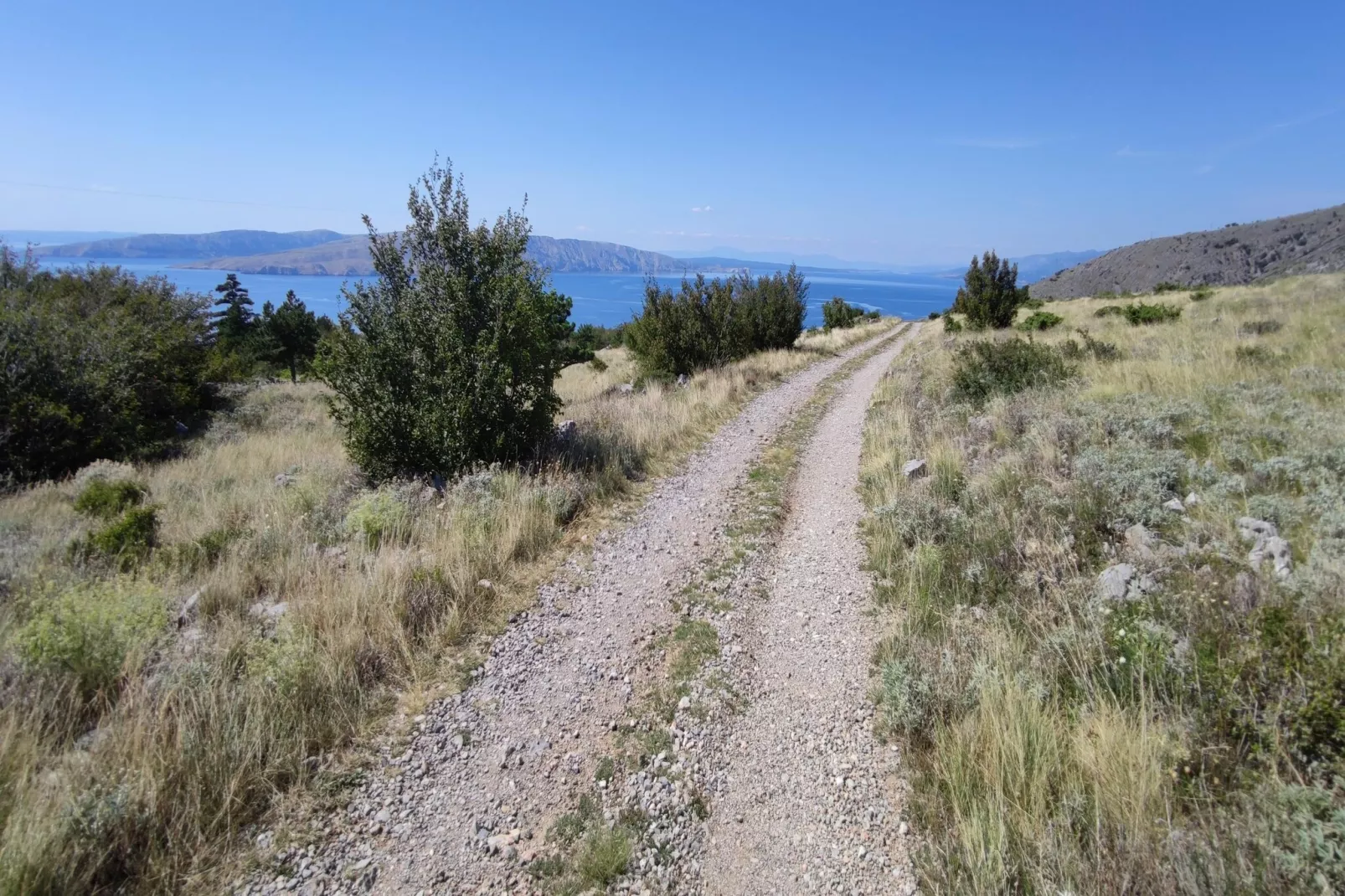 Niko 3-Areas within 5km in summer