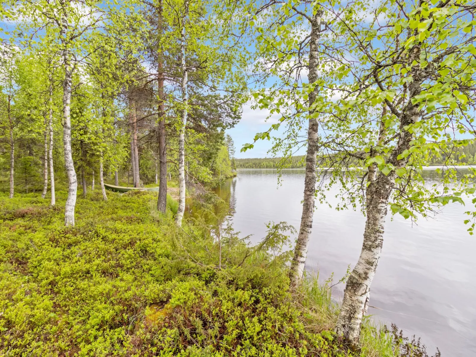 Kuontijärvi b-Dedans