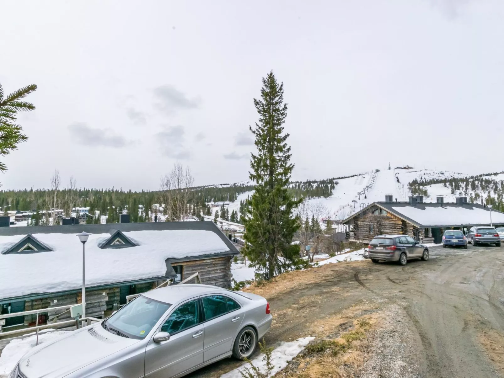 Saaruanaho h1-Dedans