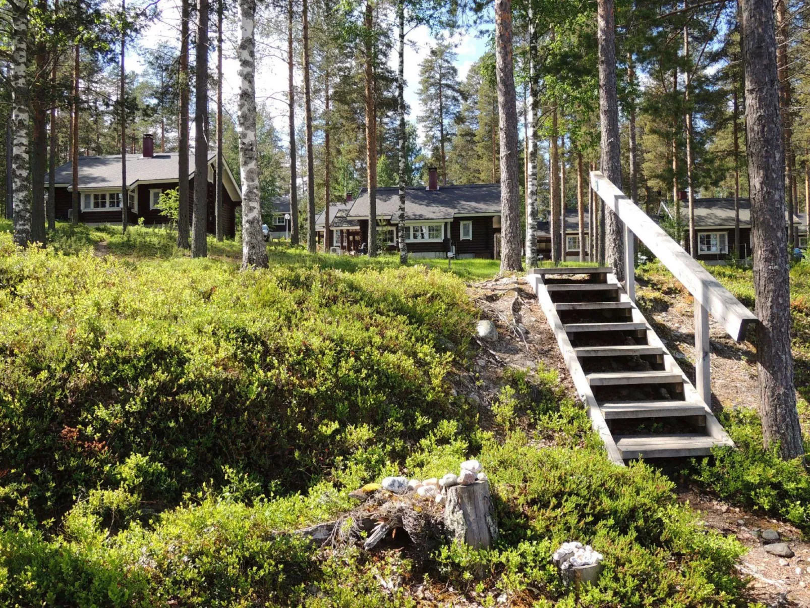 Kolin vernetti 1-Dedans