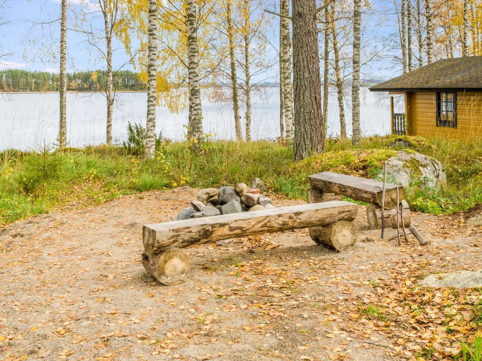 Kolin mesikämmen-Dedans