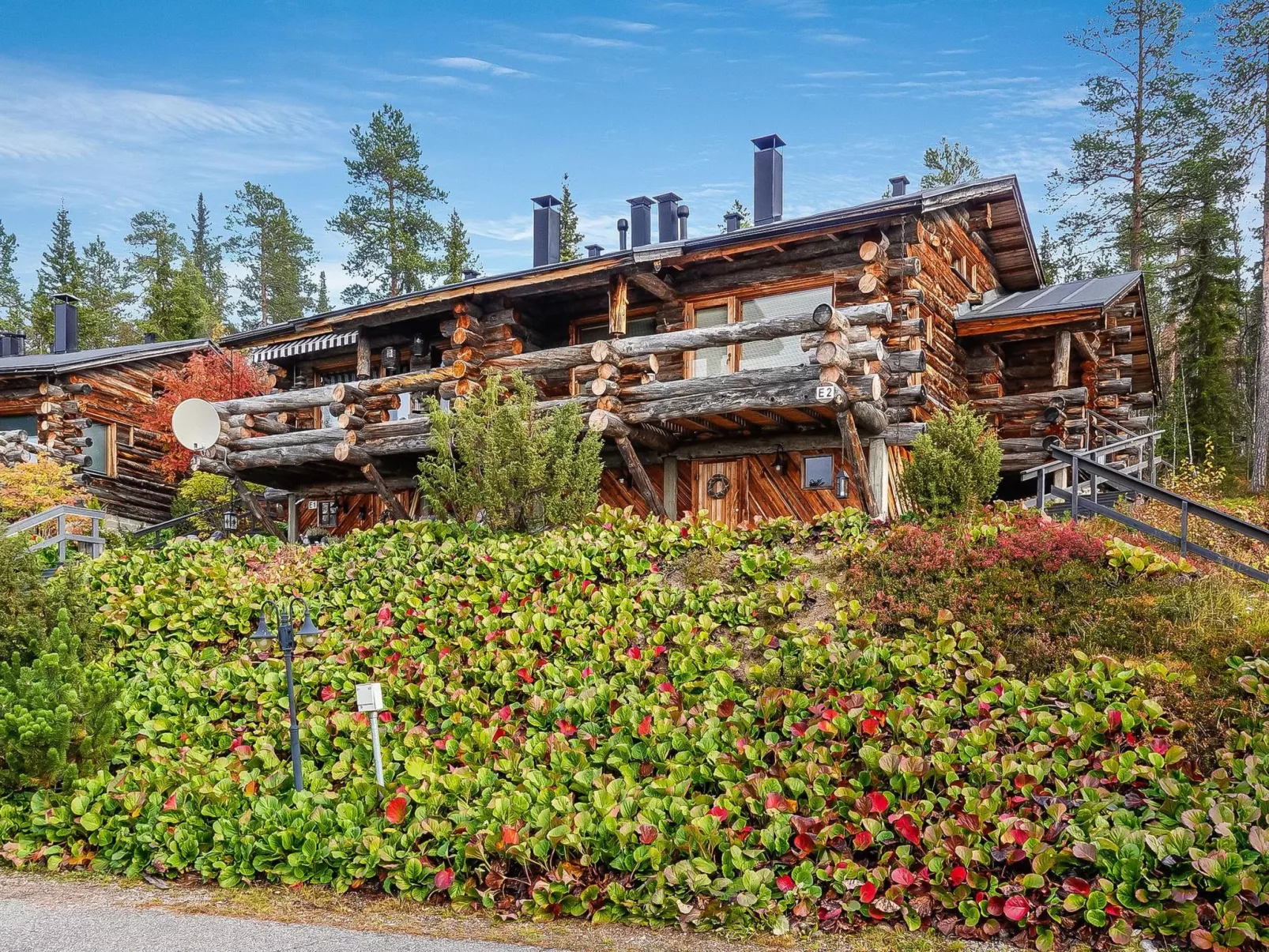 Sallanhelmi e2-Drinnen