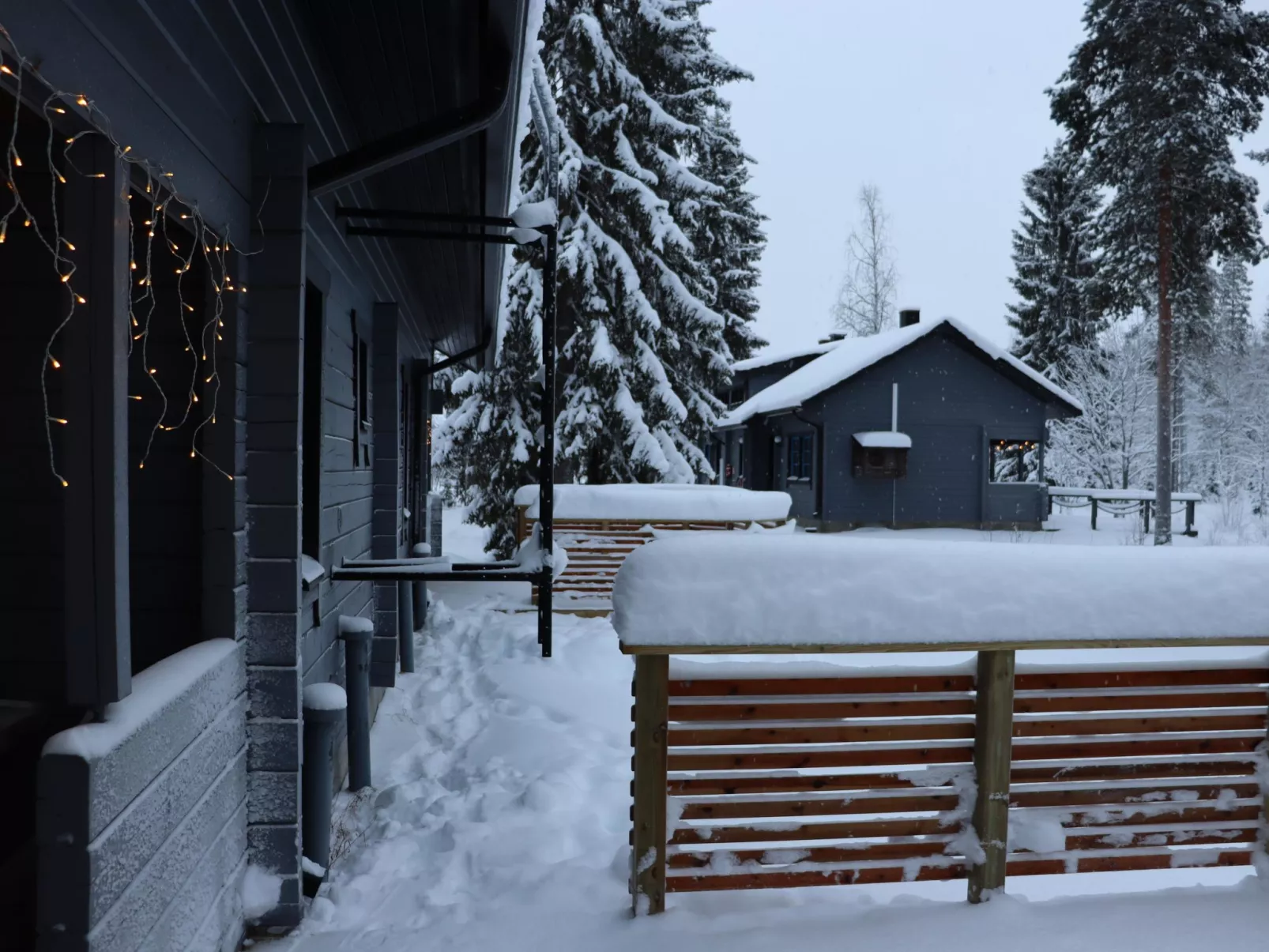 Villa tassu 2-Dedans