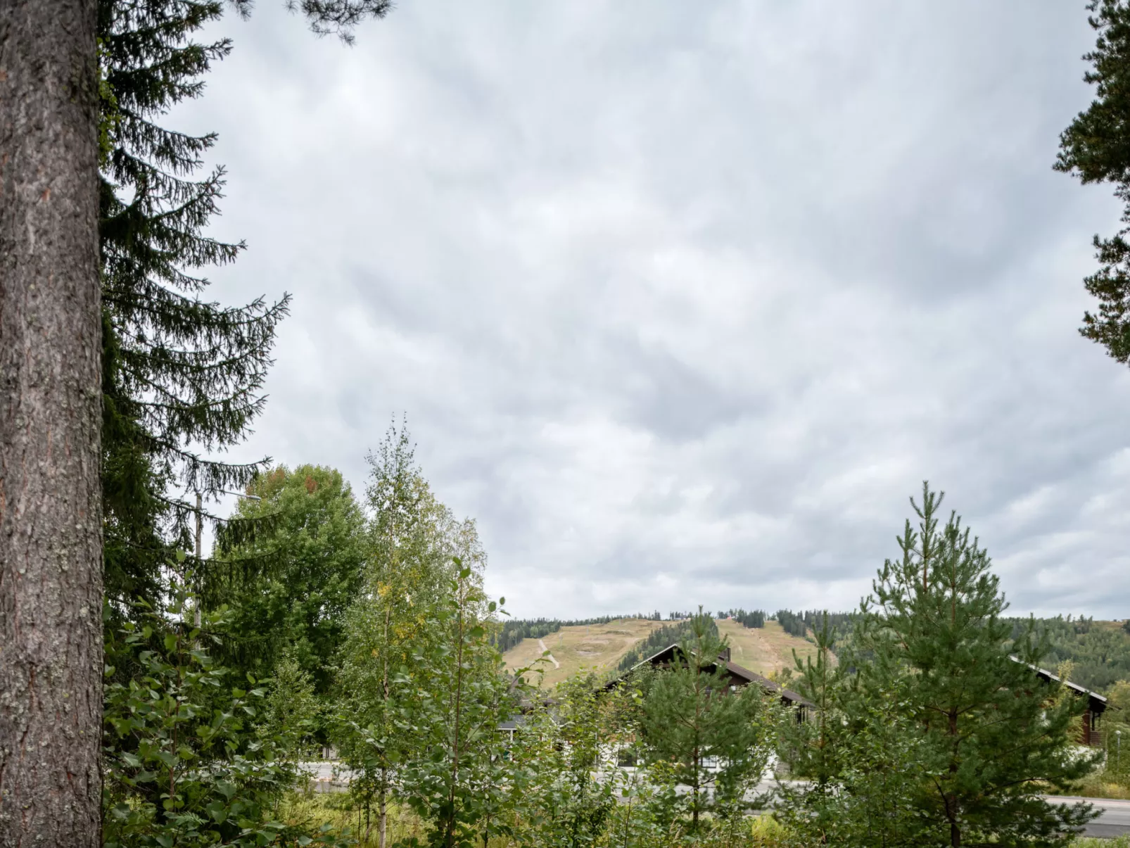 Tahkon klubitie 2 b-Inside