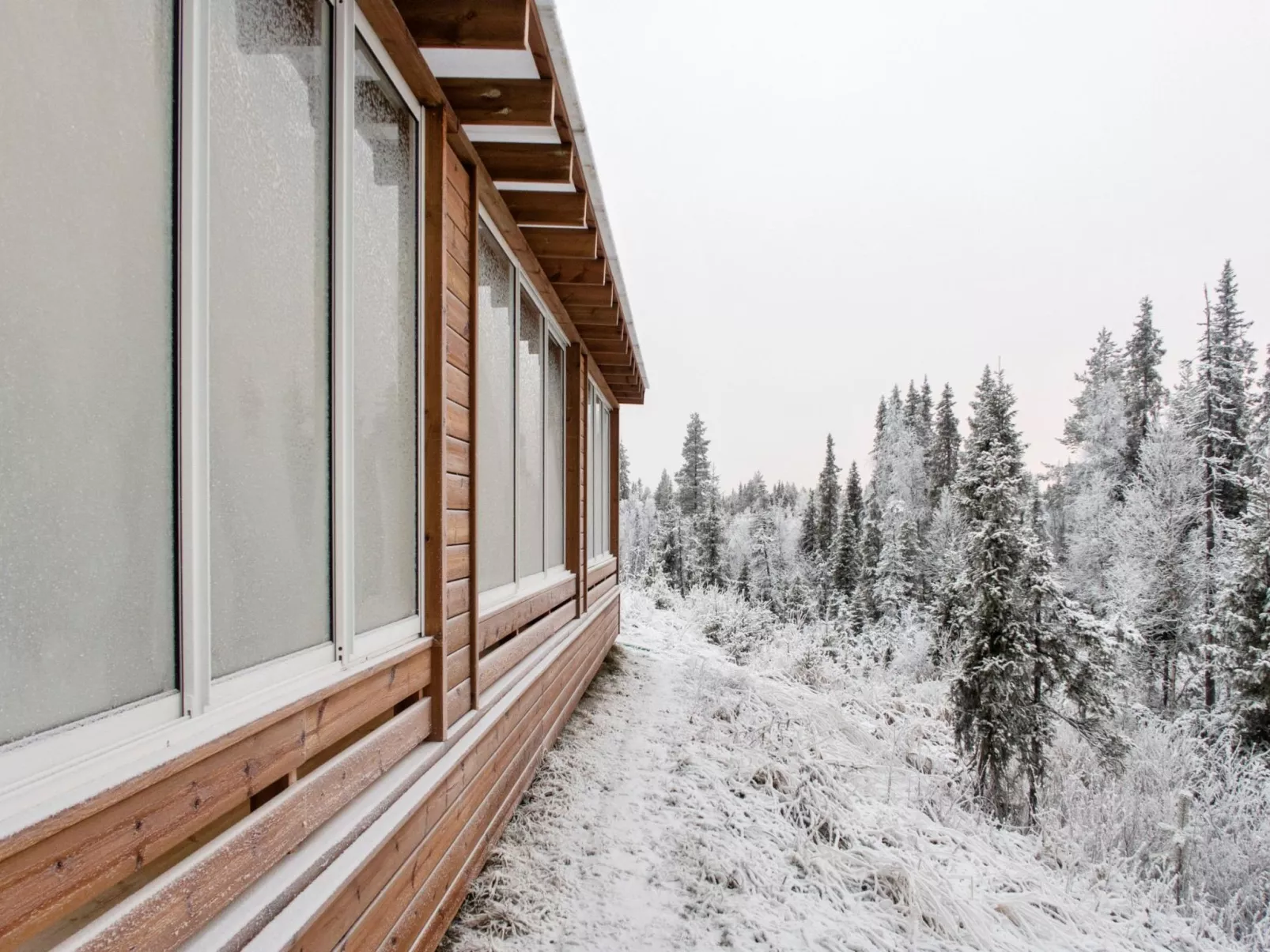 Iso-karpalo b-Dedans