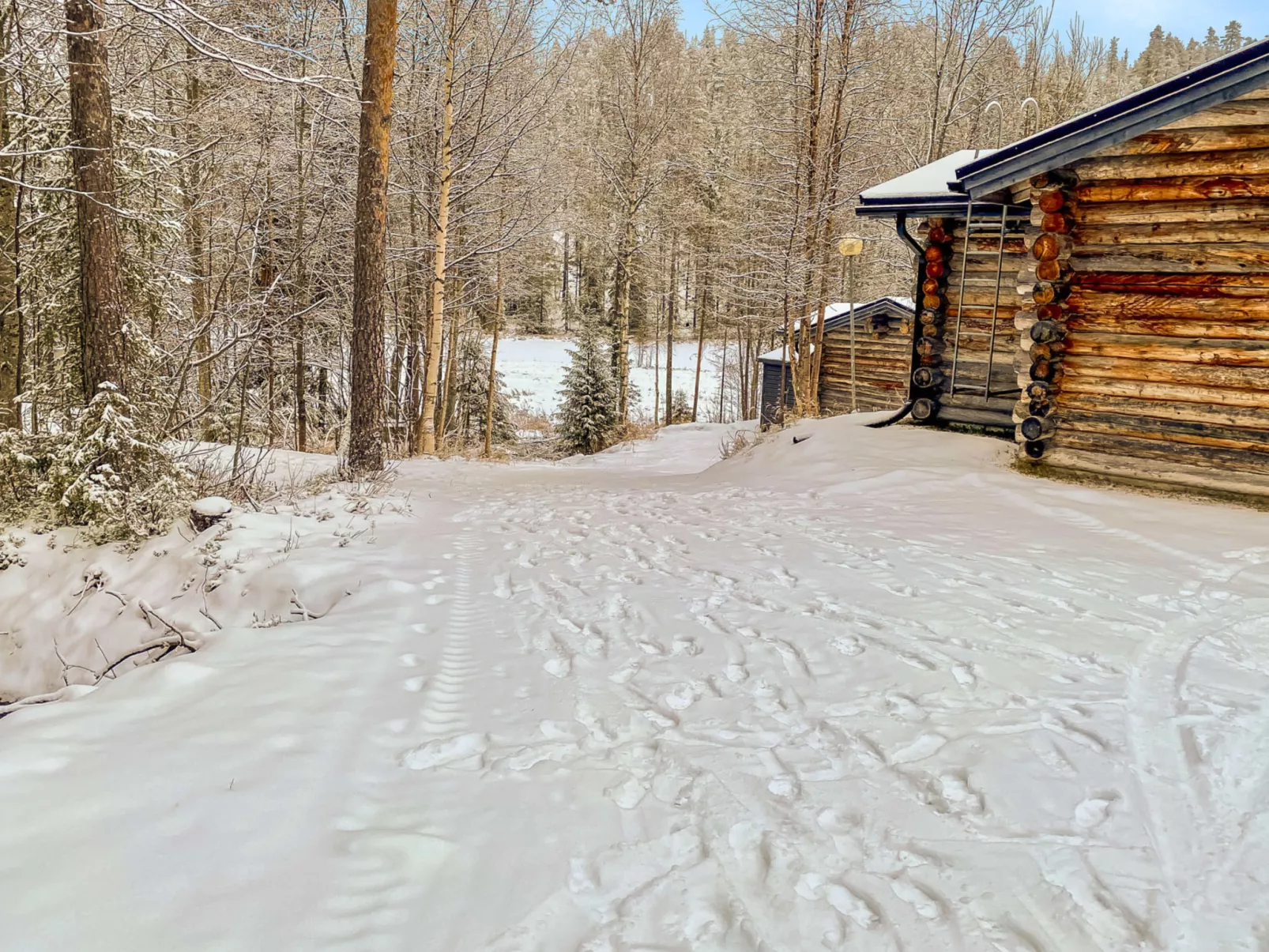 Salmikankaan kelo d2-Dedans