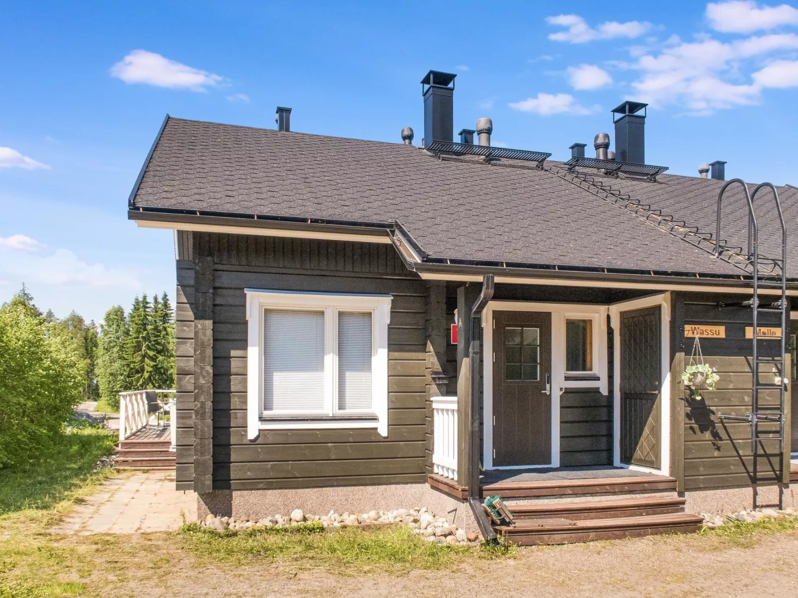 Vuokatin wassu-Dedans