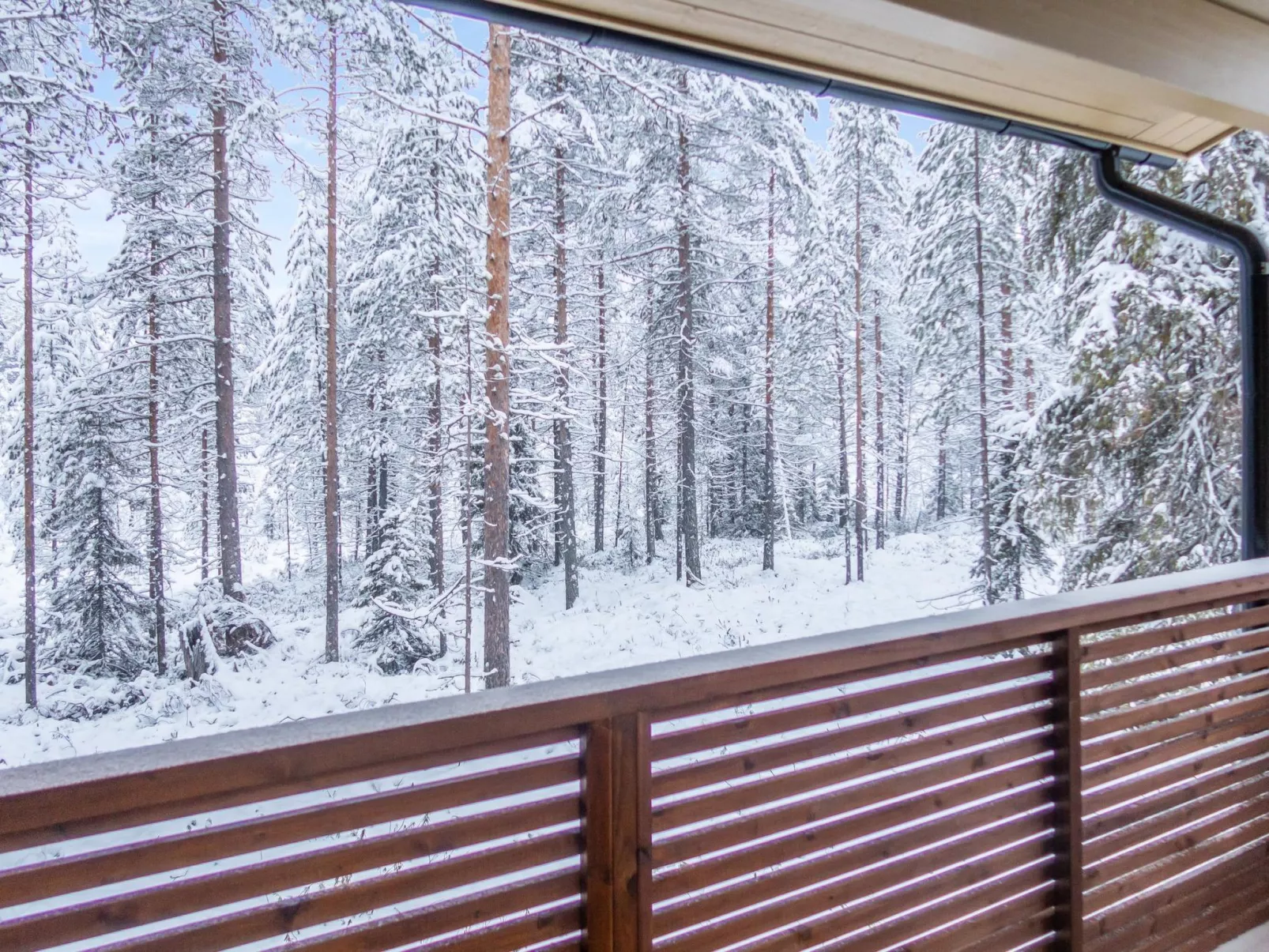 Saukonpesä b-Drinnen