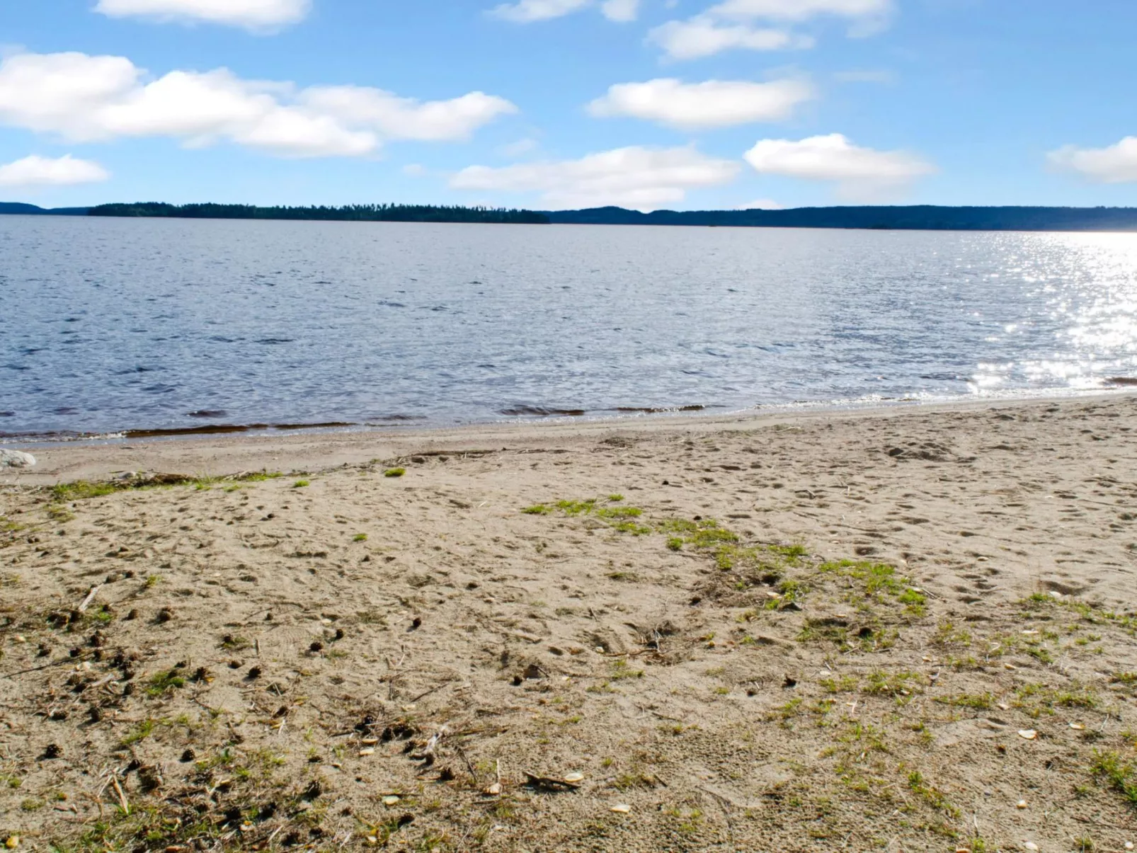 Kulta-käkönen 3 by bomba-Dedans