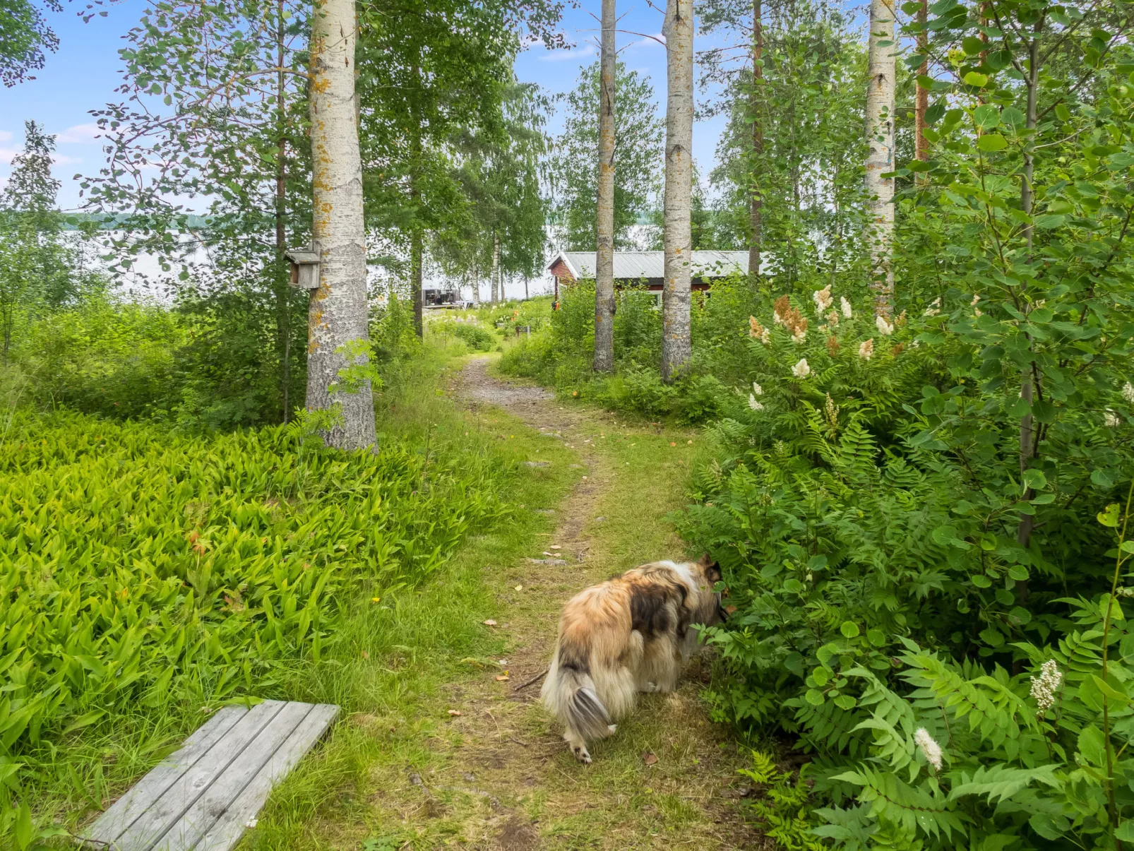Villa talvilahti-Drinnen
