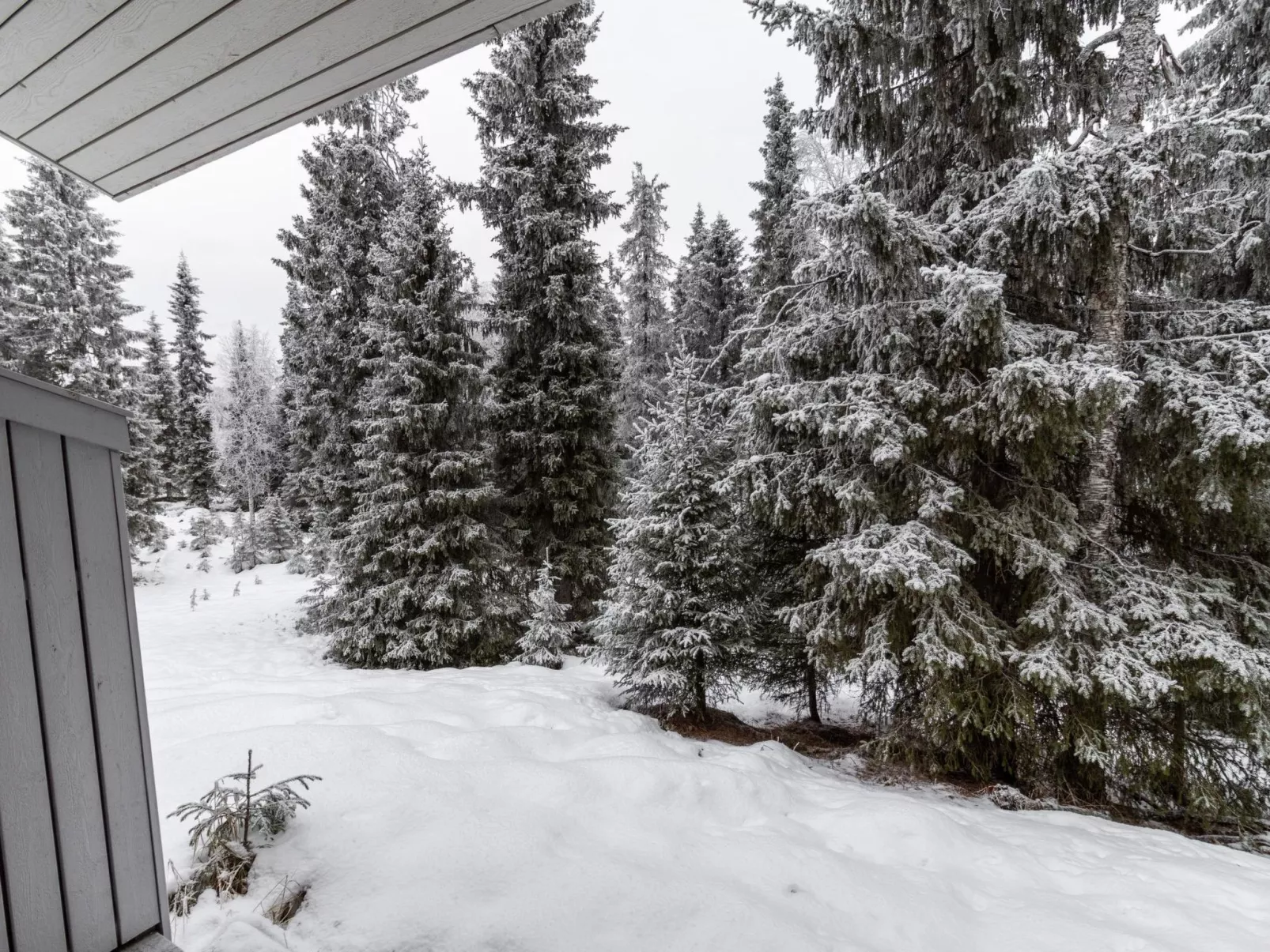Rukan ankkuri-Drinnen