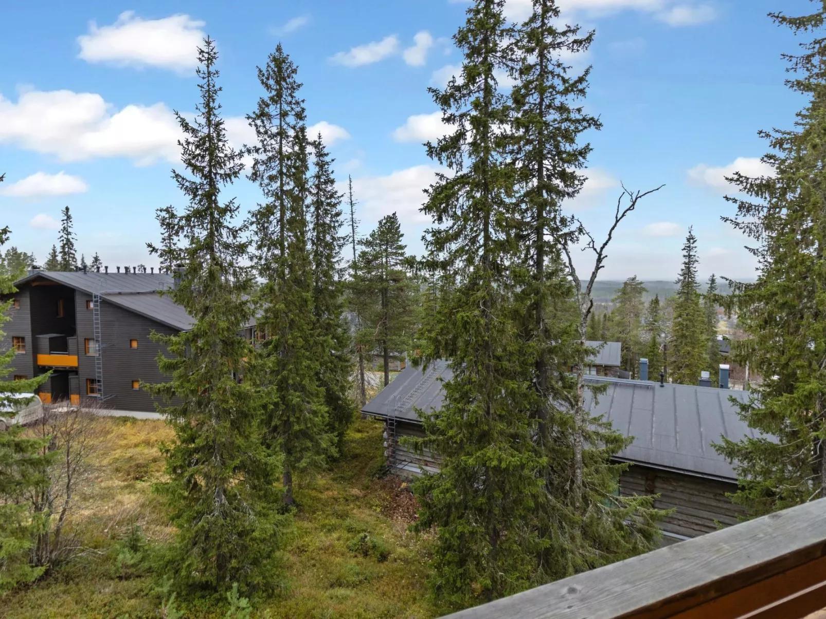 Karhunvartijanmaja d4-Inside