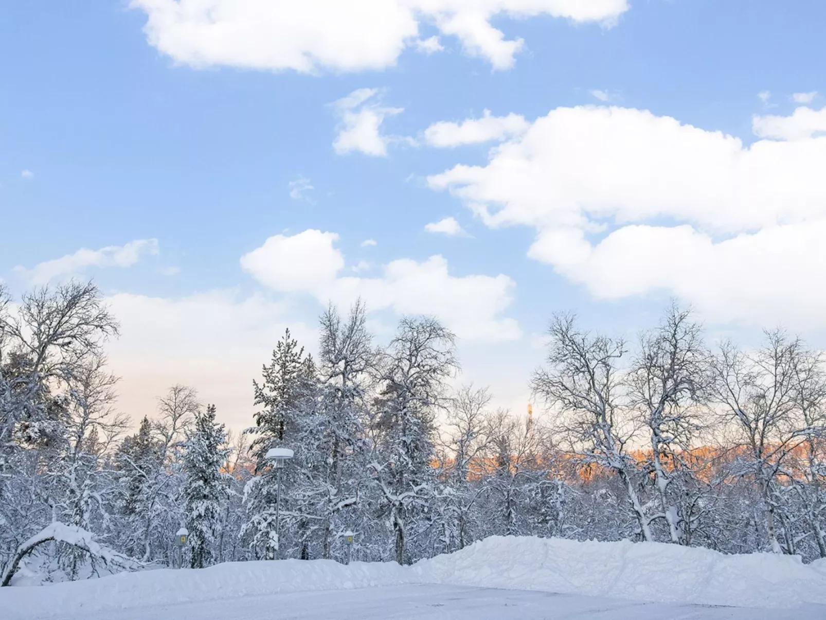 Lomariekko 6 a 2-Inside