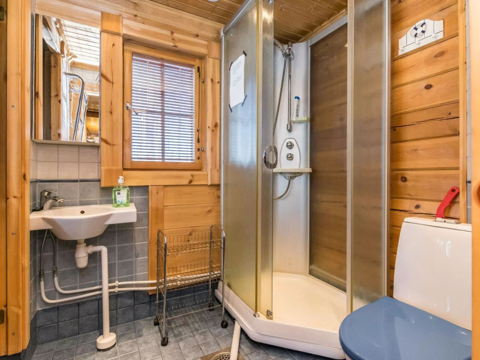 Puolen hehtaarin metsä-Inside