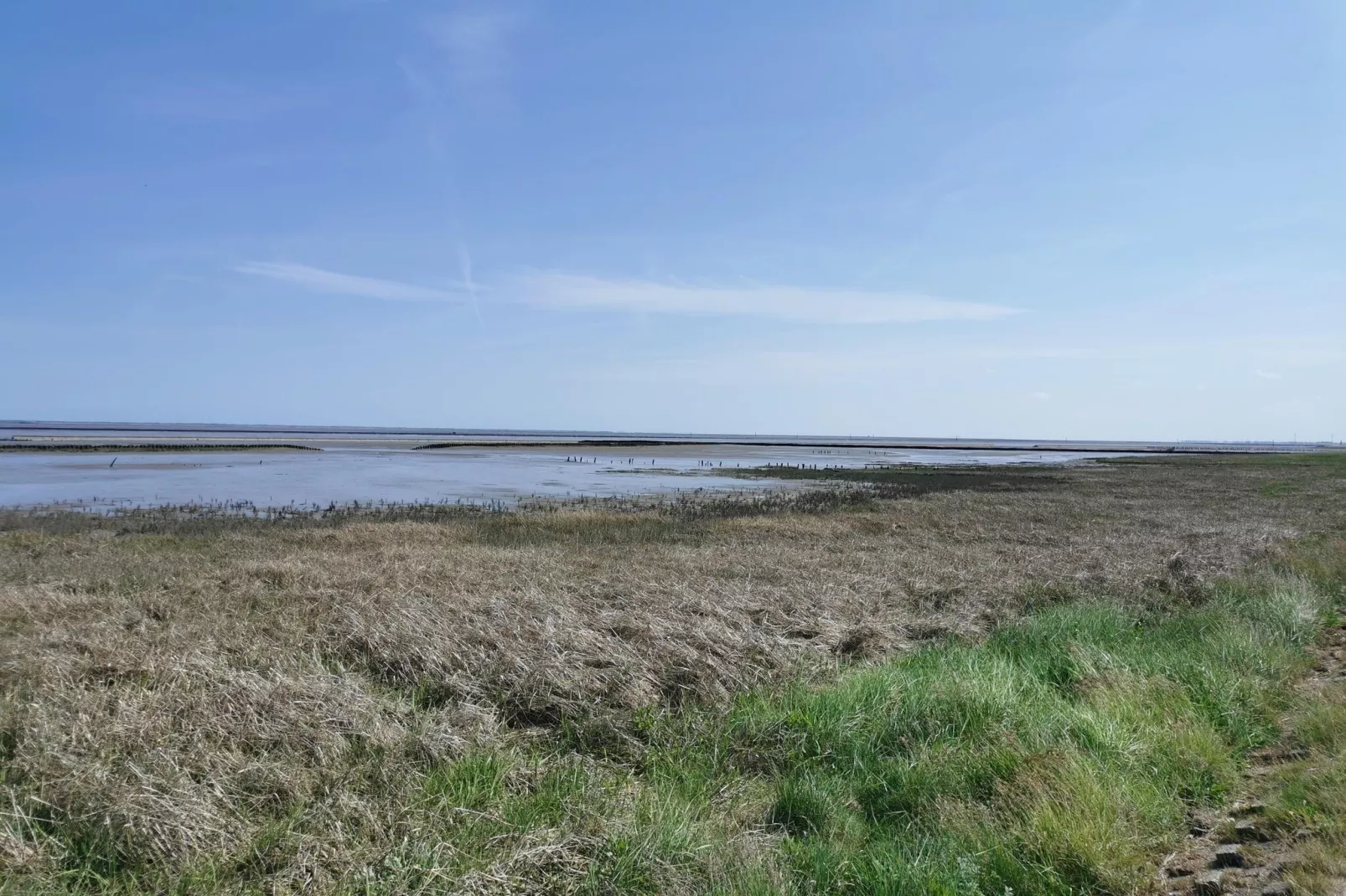 Ferienhaus Mühlenblick 07-Areas within 5km in summer