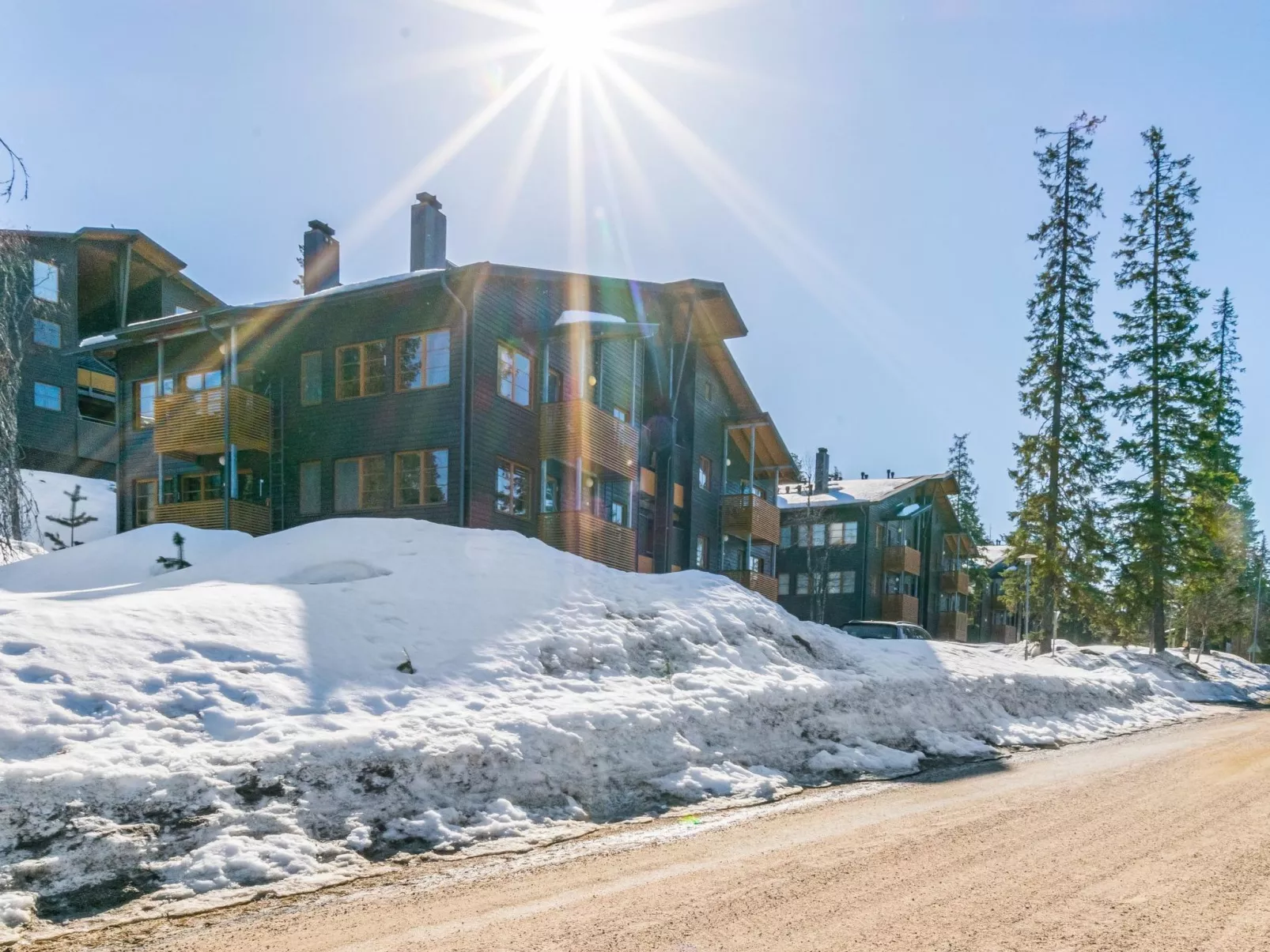 Karhunvartijan linna c18-Inside