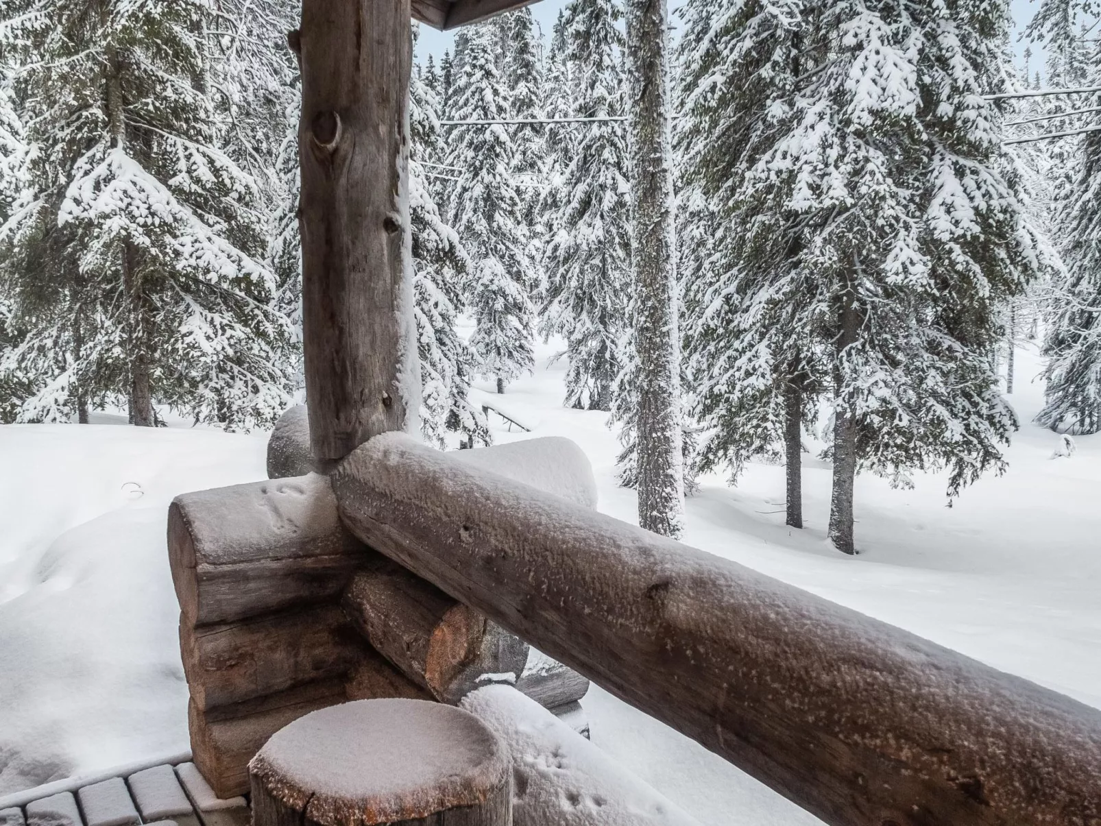 Rukankuu nr 1-Dedans