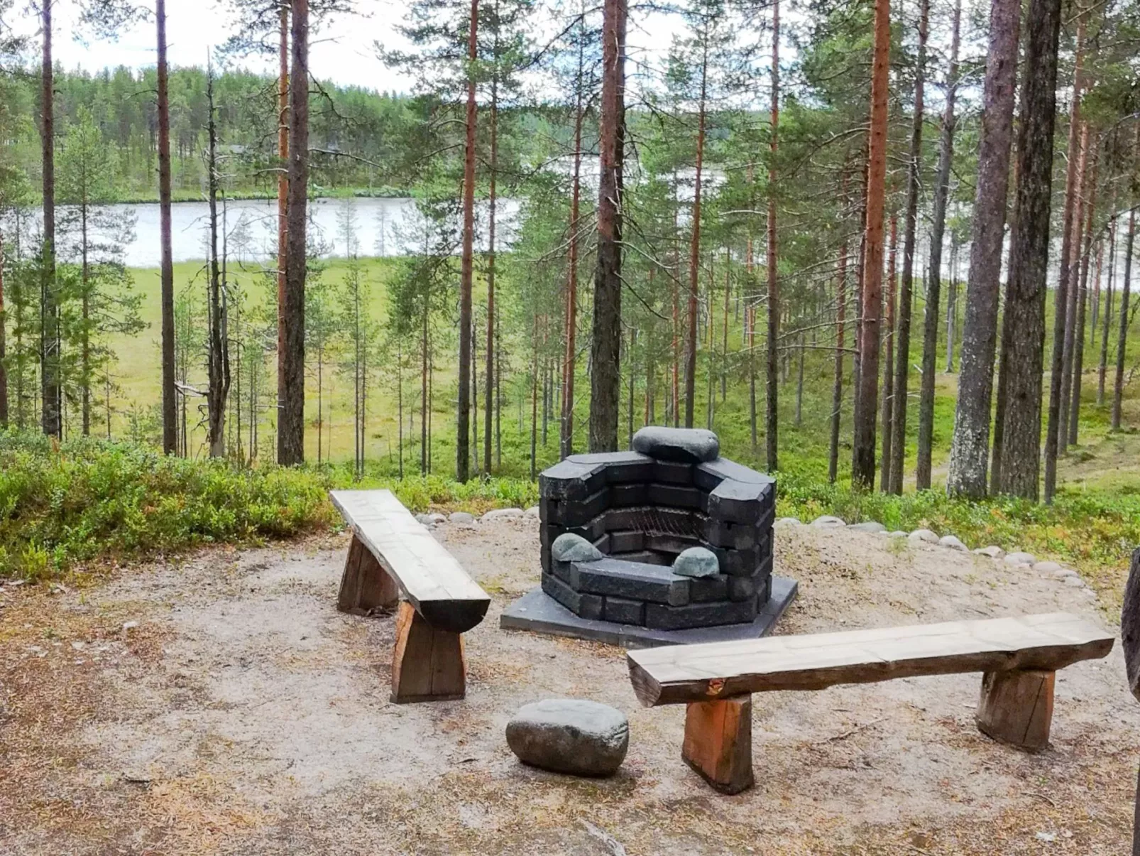 Villihanhi 7b-Dedans