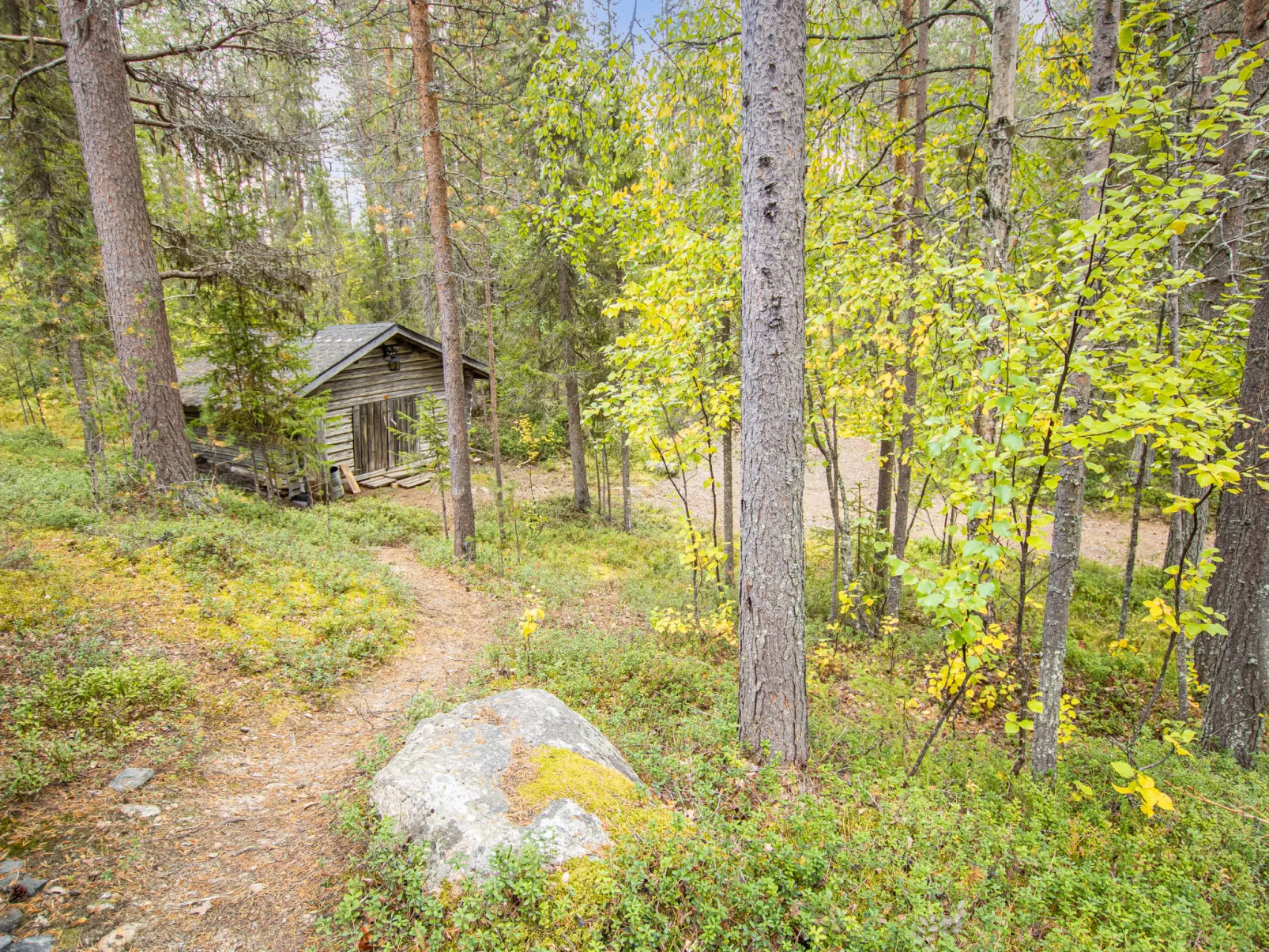 Salmentieva 2-Drinnen