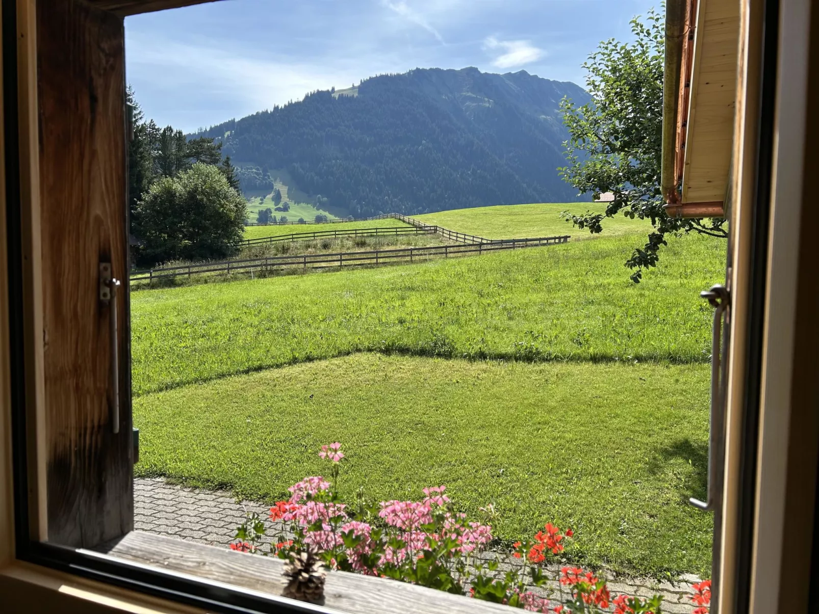 Alpenchalet Haldeli-Drinnen