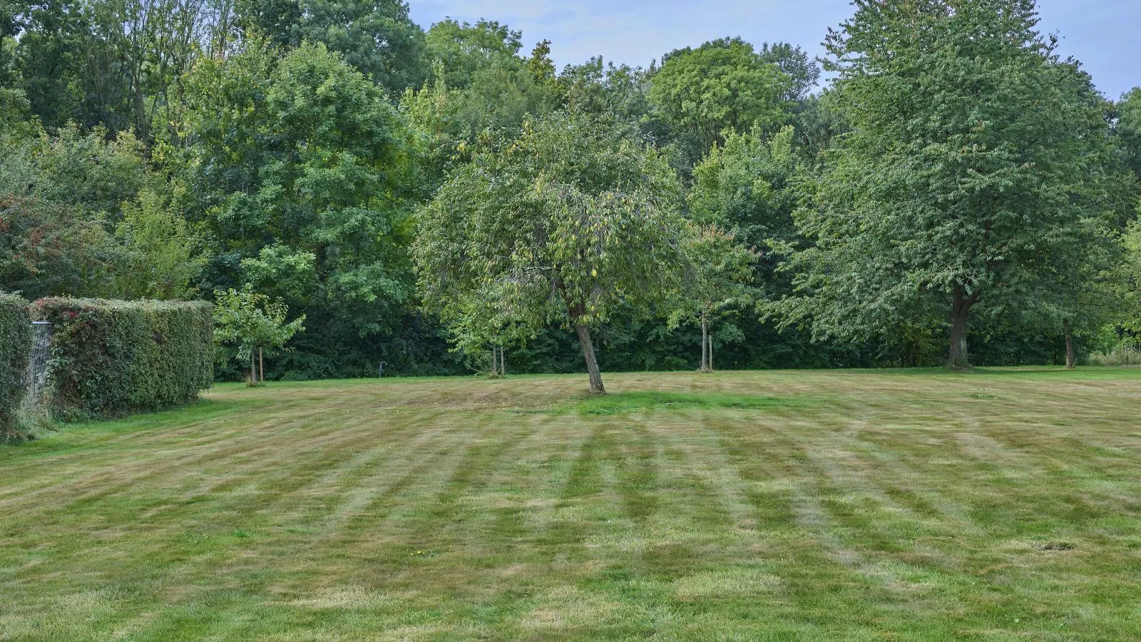 Bie Leentje op de Wei-Jardins en été