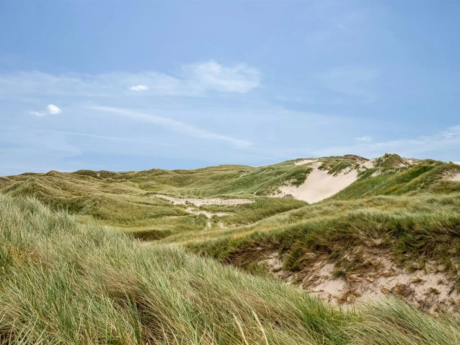 "Ernesta" -  from the sea-Outside