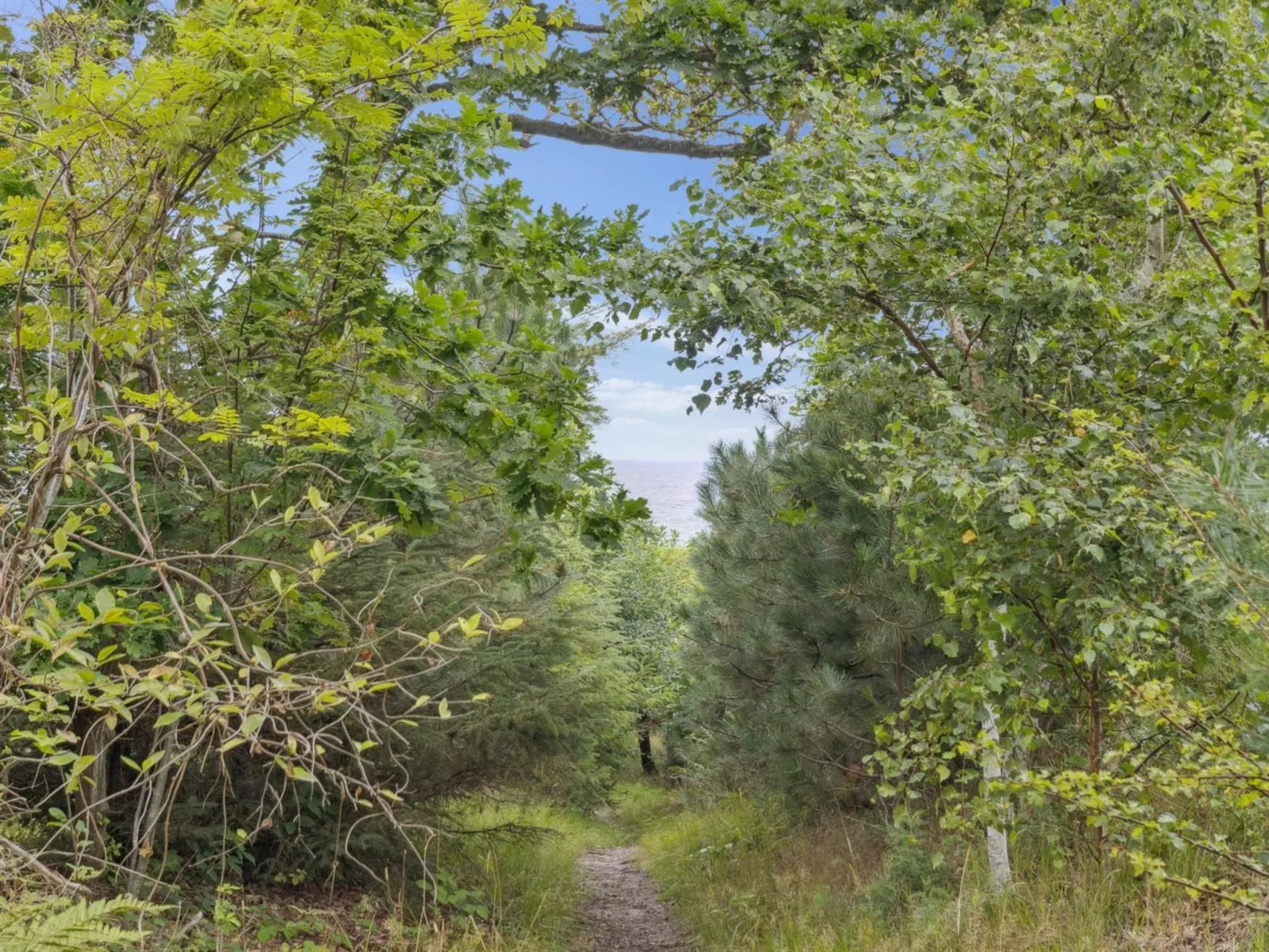 "Farman" - 200m from the sea-Draußen