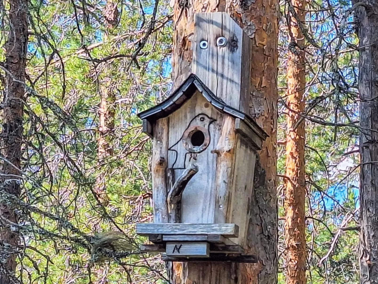 Rokua vaulutupa-Dedans