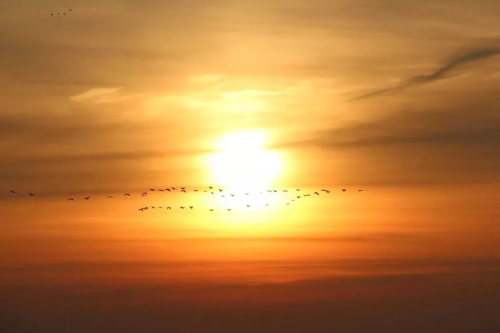 166154-Nicht zugeordnet